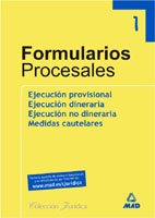 Ejecución provisional, ejecución dineraria, ejecución no dineraria, medidas cautelares (Colección de formularios jurisdiccionales y de parte) Books