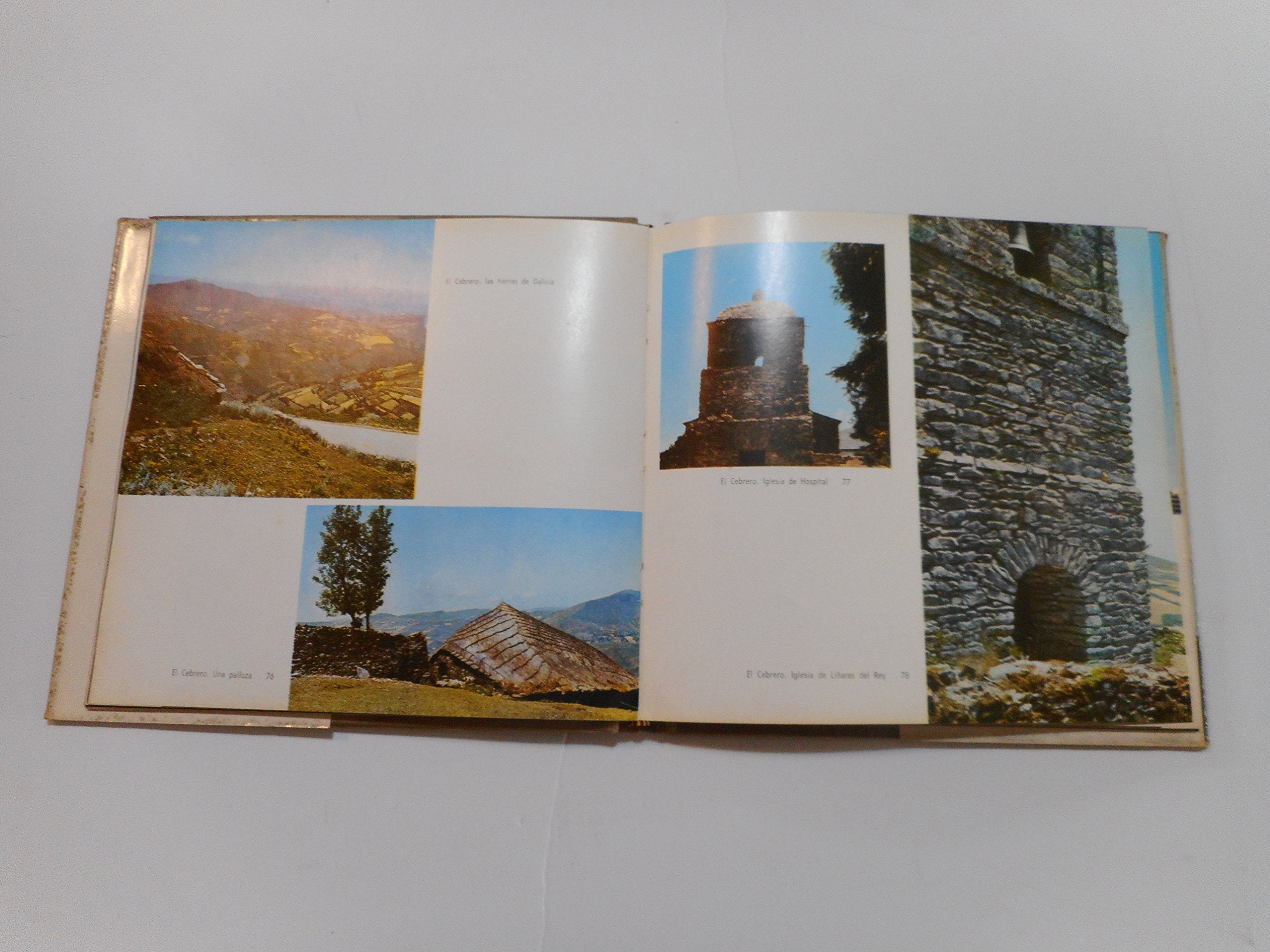 Sangre y oro (La Trama) Books