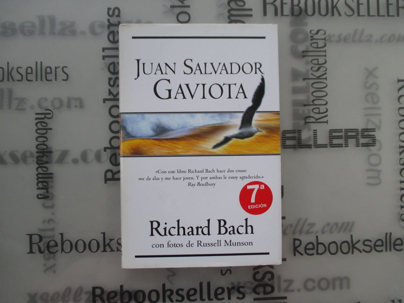 Juan Salvador Gaviota (Millenium, Band 601009) Social Sciences