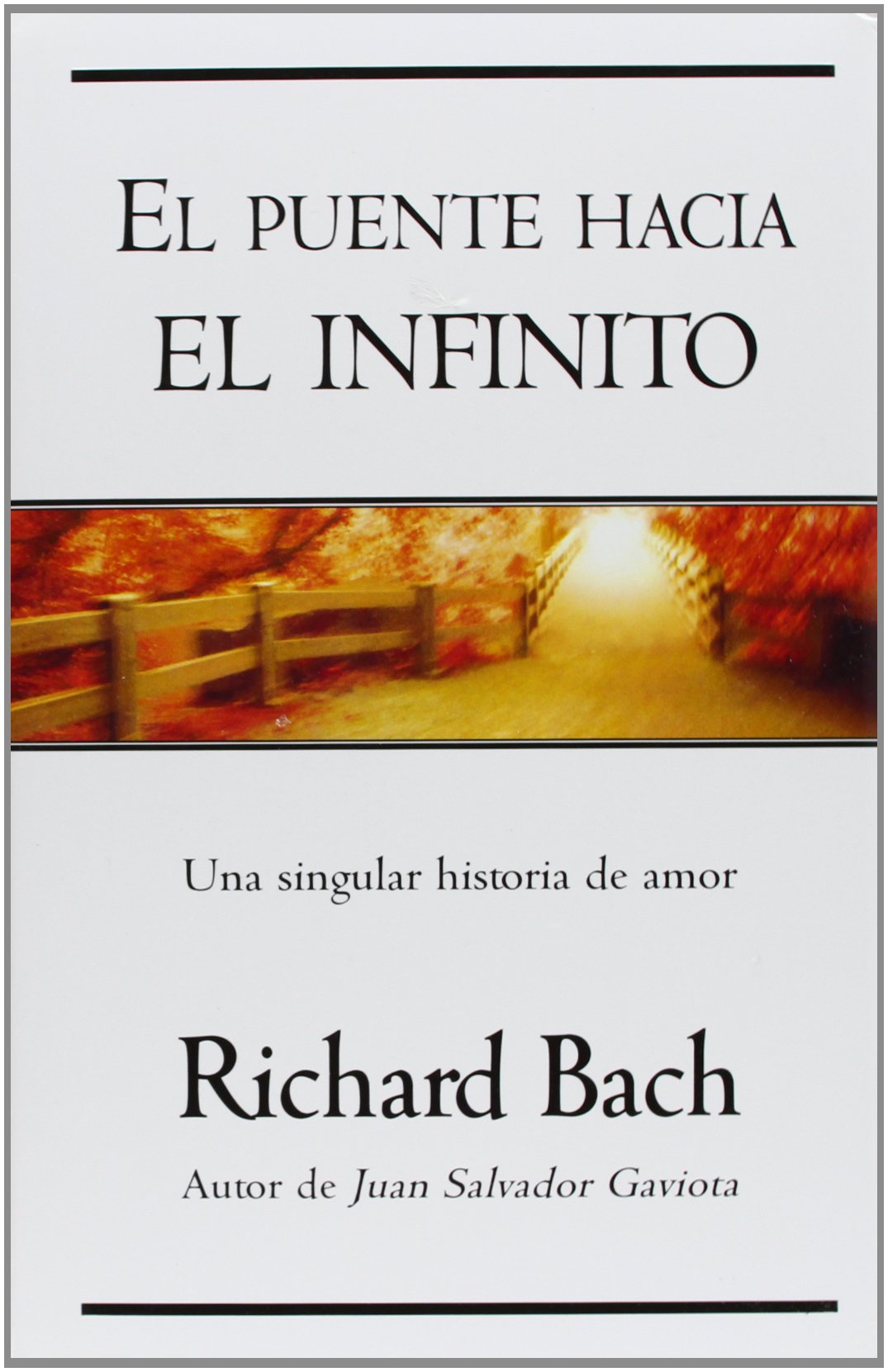 Puente Hacia El Infinito / The Bridge Across Forever: Una Historia De Amor / A Love Story book