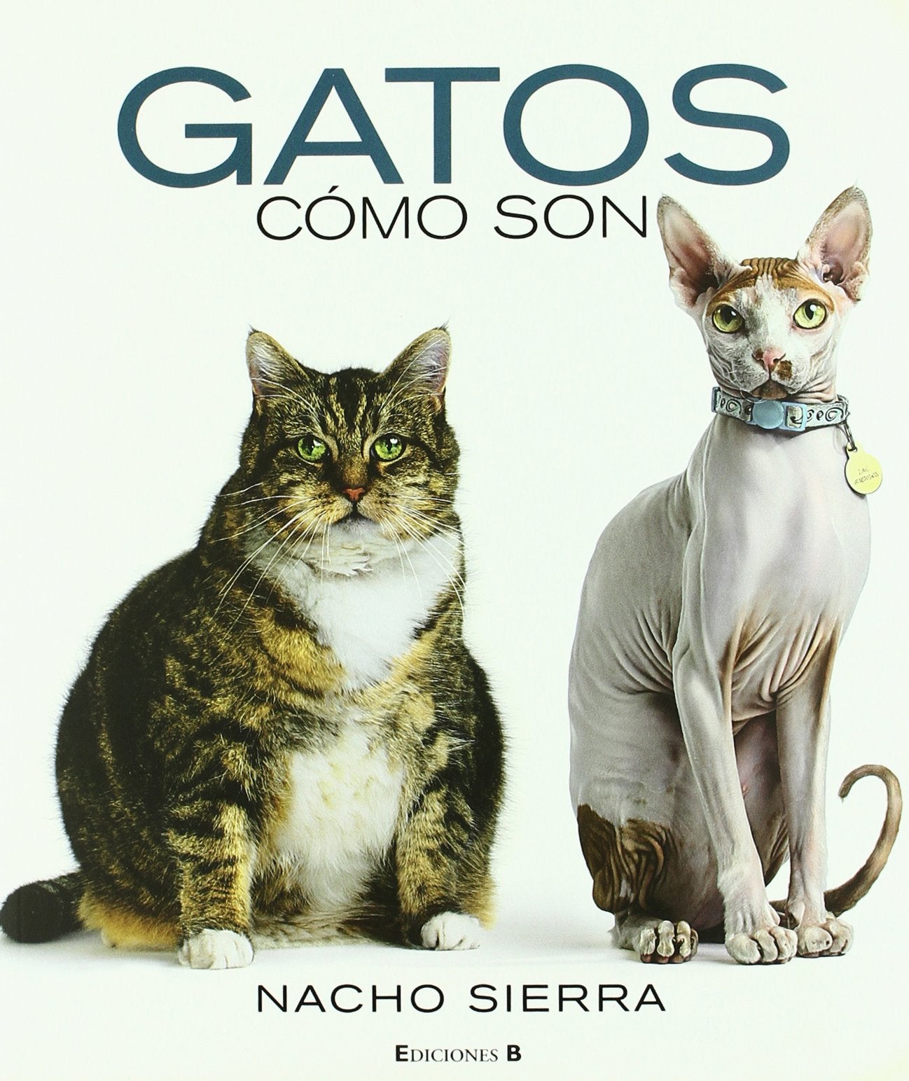 GATOS. COMO SON (LIBROS ILUSTRADOS AD, Band 0) Natural Sciences