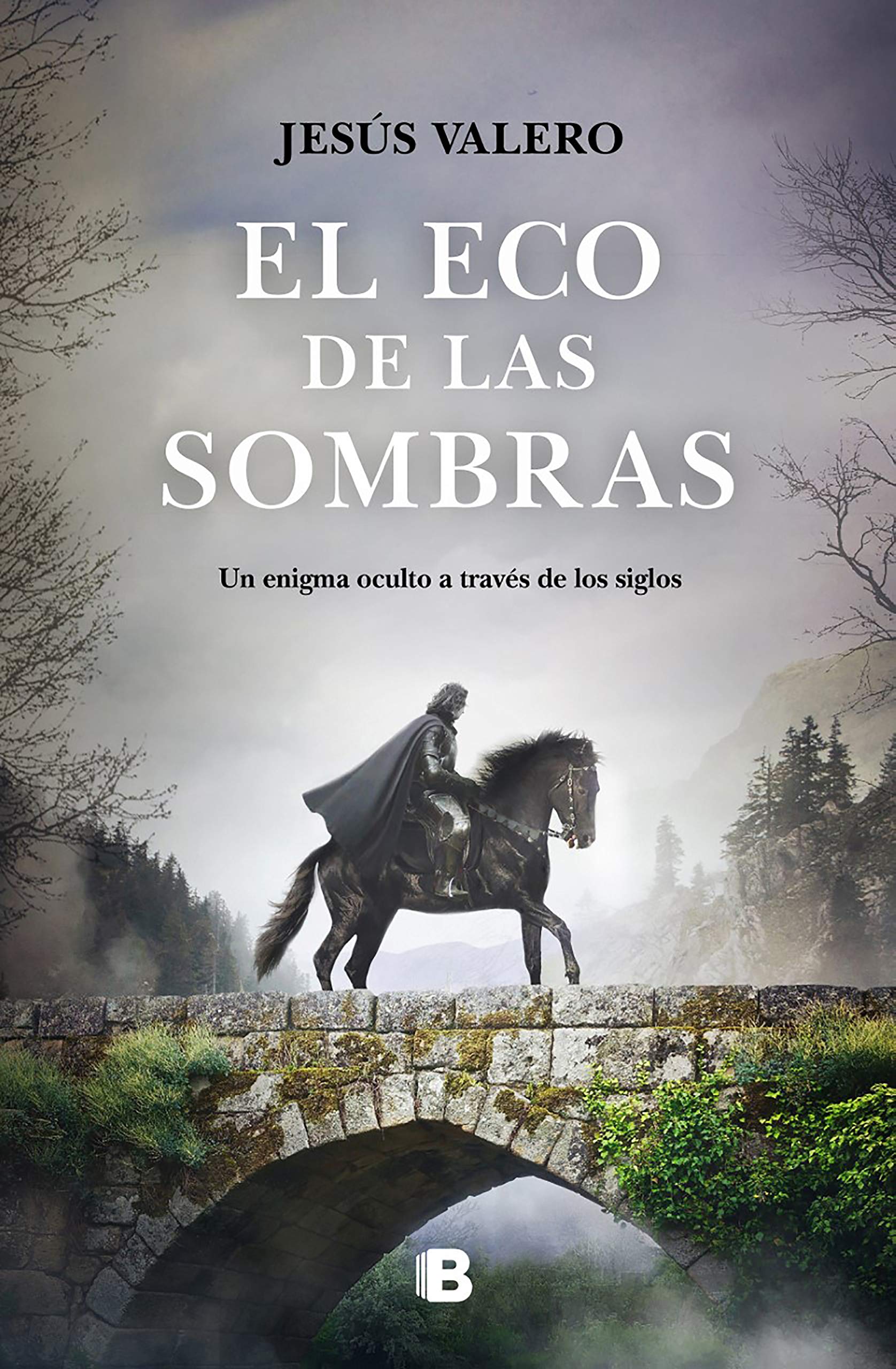 El eco de las sombras/ The Echo of Shadows book