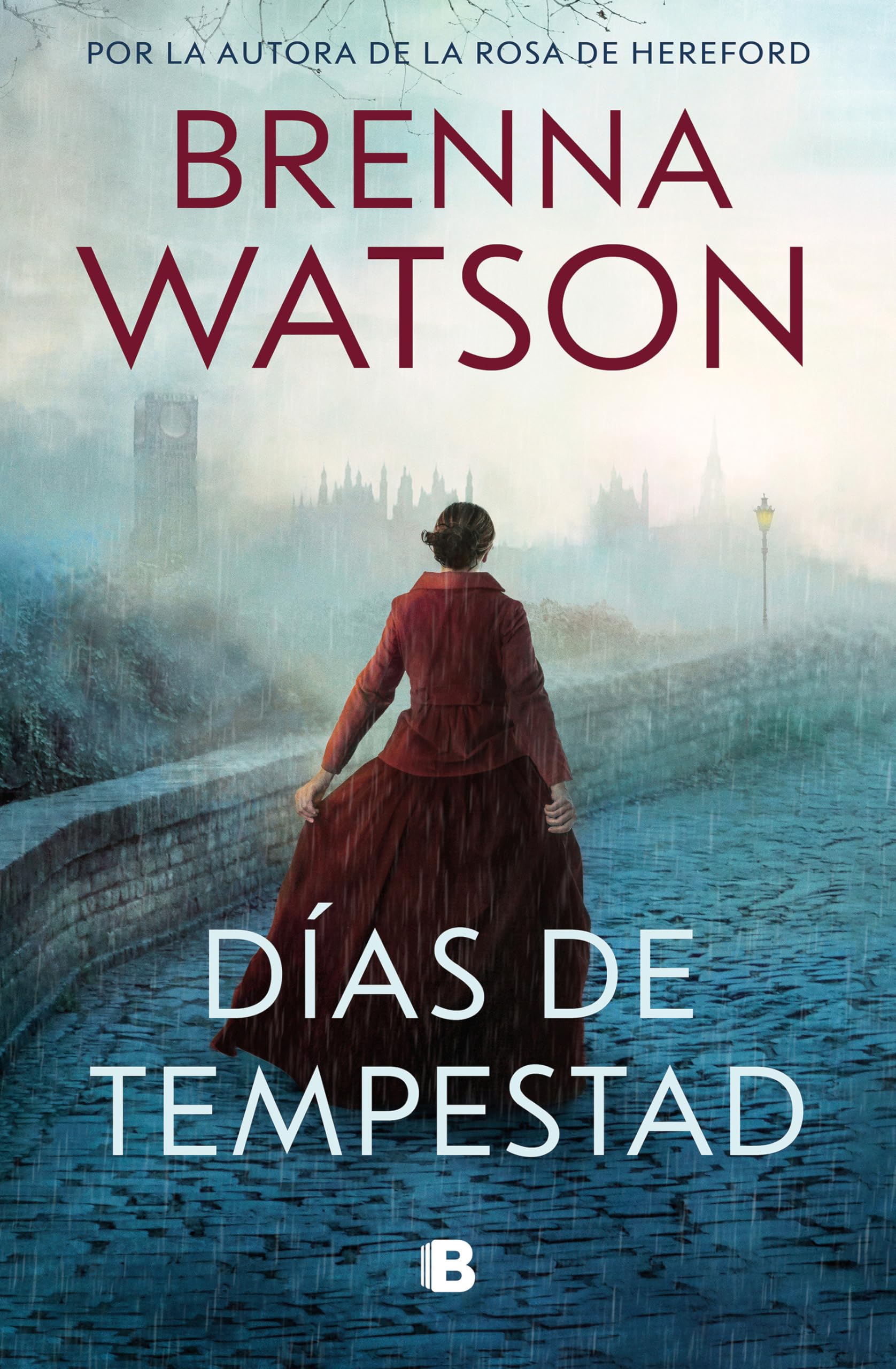 Días de tempestad / Days of Tempest book