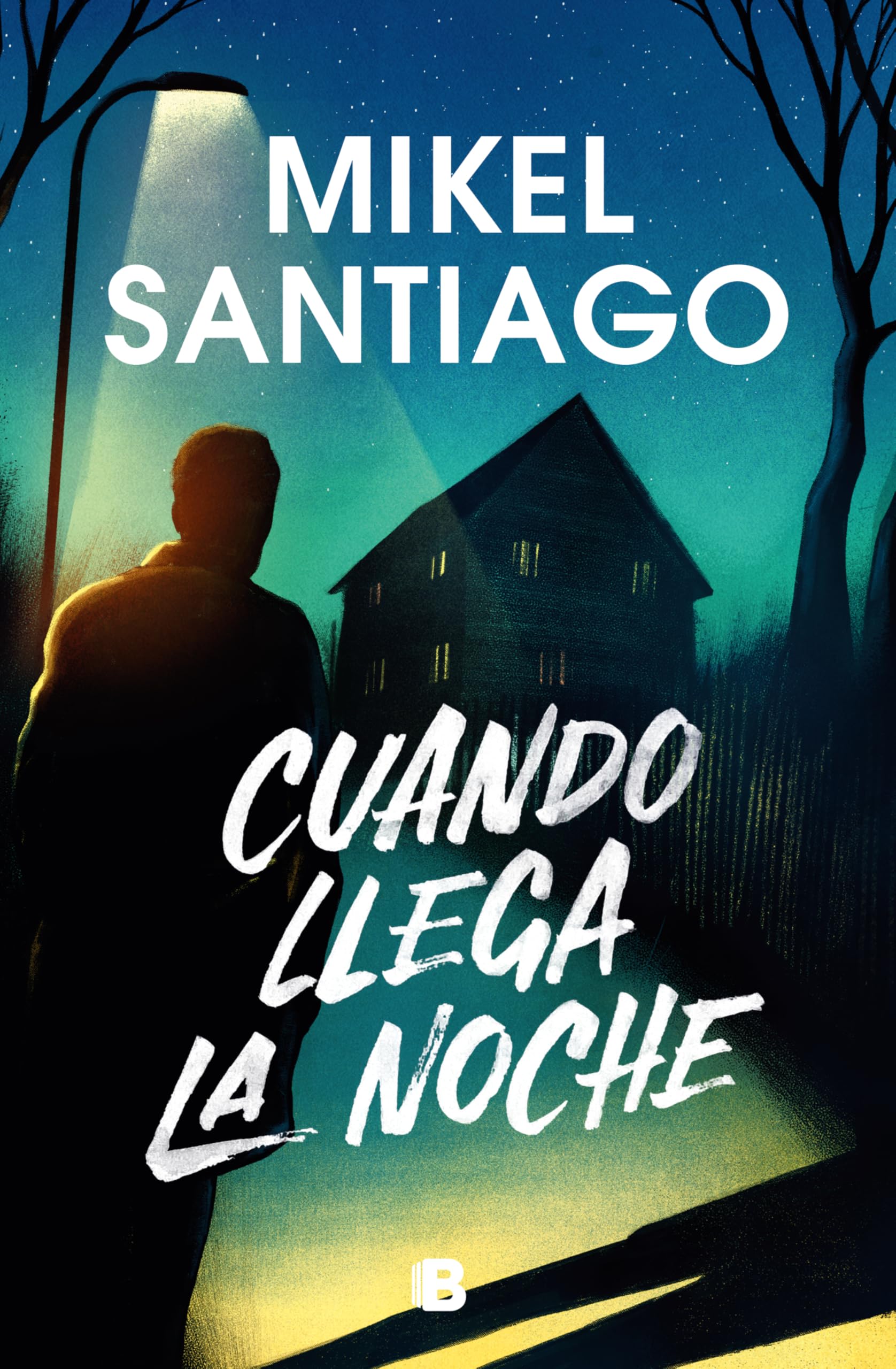 Cuando llega la noche / When Night Falls book
