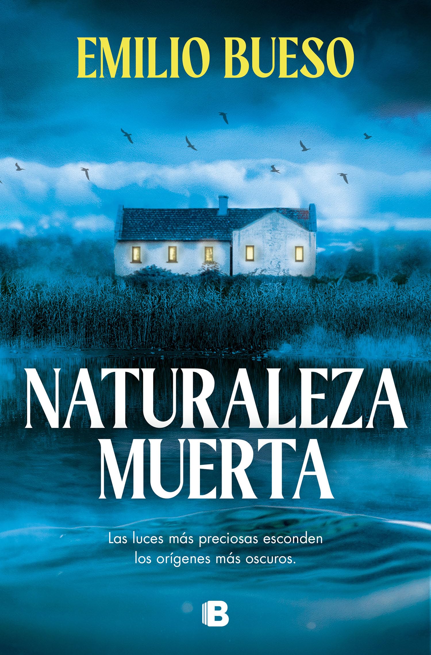 Naturaleza muerta/ Still Life book