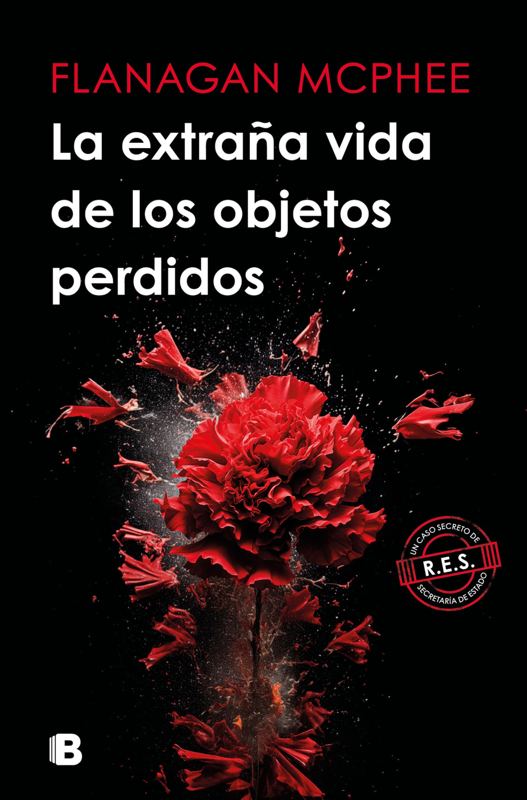 La extraña vida de los objetos perdidos / The Strange Life of Lost Objects book
