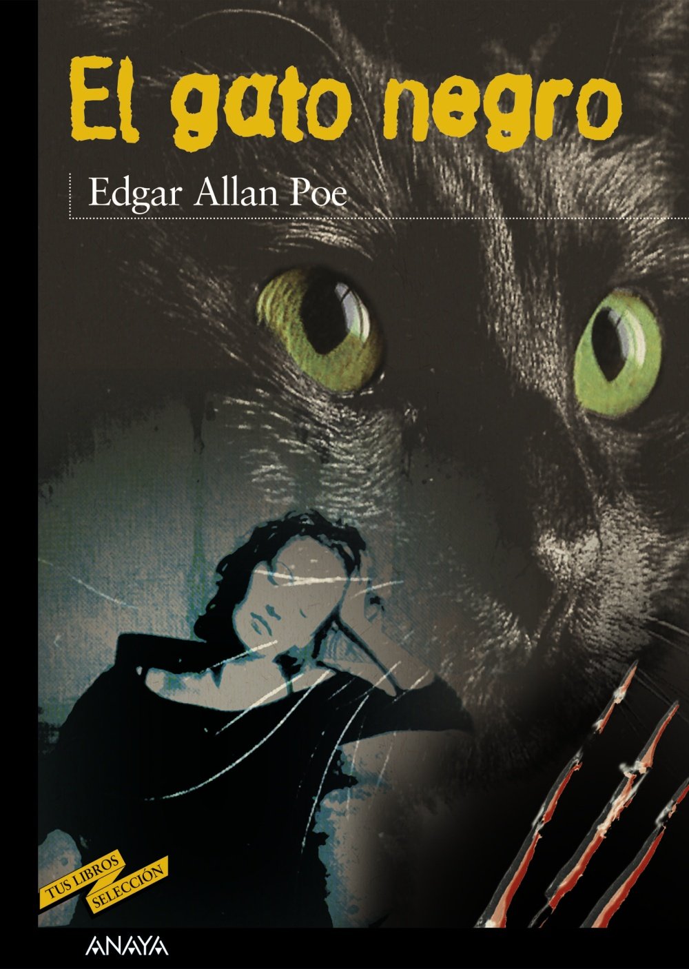 El gato negro / The Black Cat book