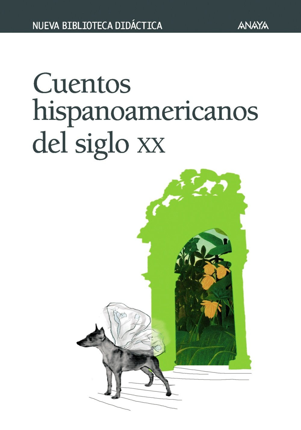 Cuentos hispanoamericanos del siglo XX (Clásicos - Nueva Biblioteca Didáctica) Essays & Short Stories