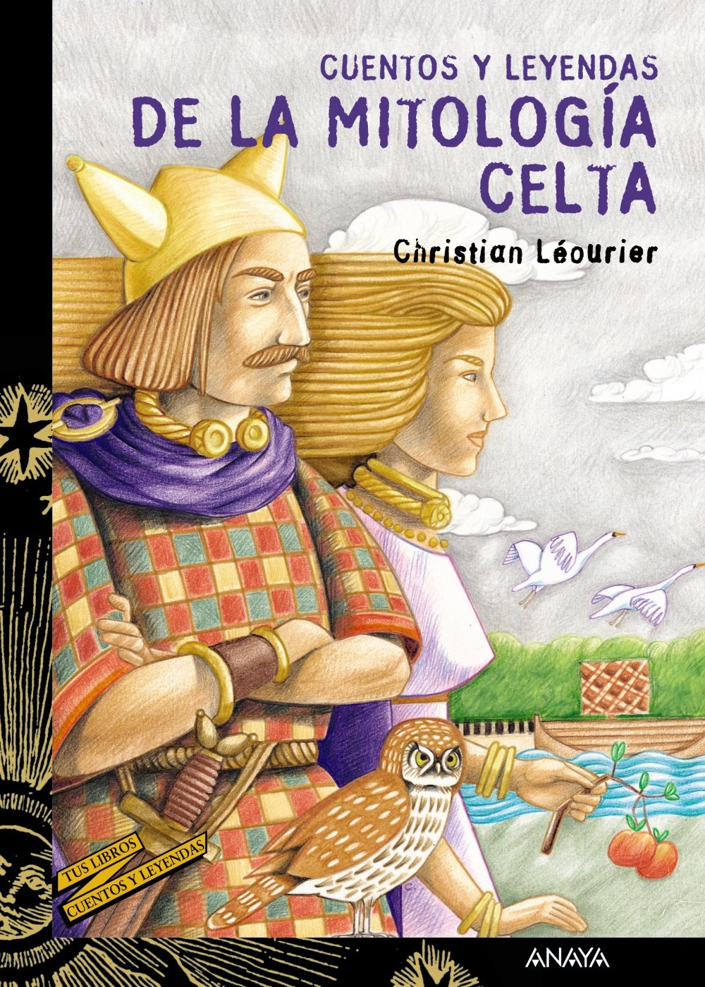 Cuentos y leyendas de la mitologia celta/ Stories and Legends of the Celtic Mythology book