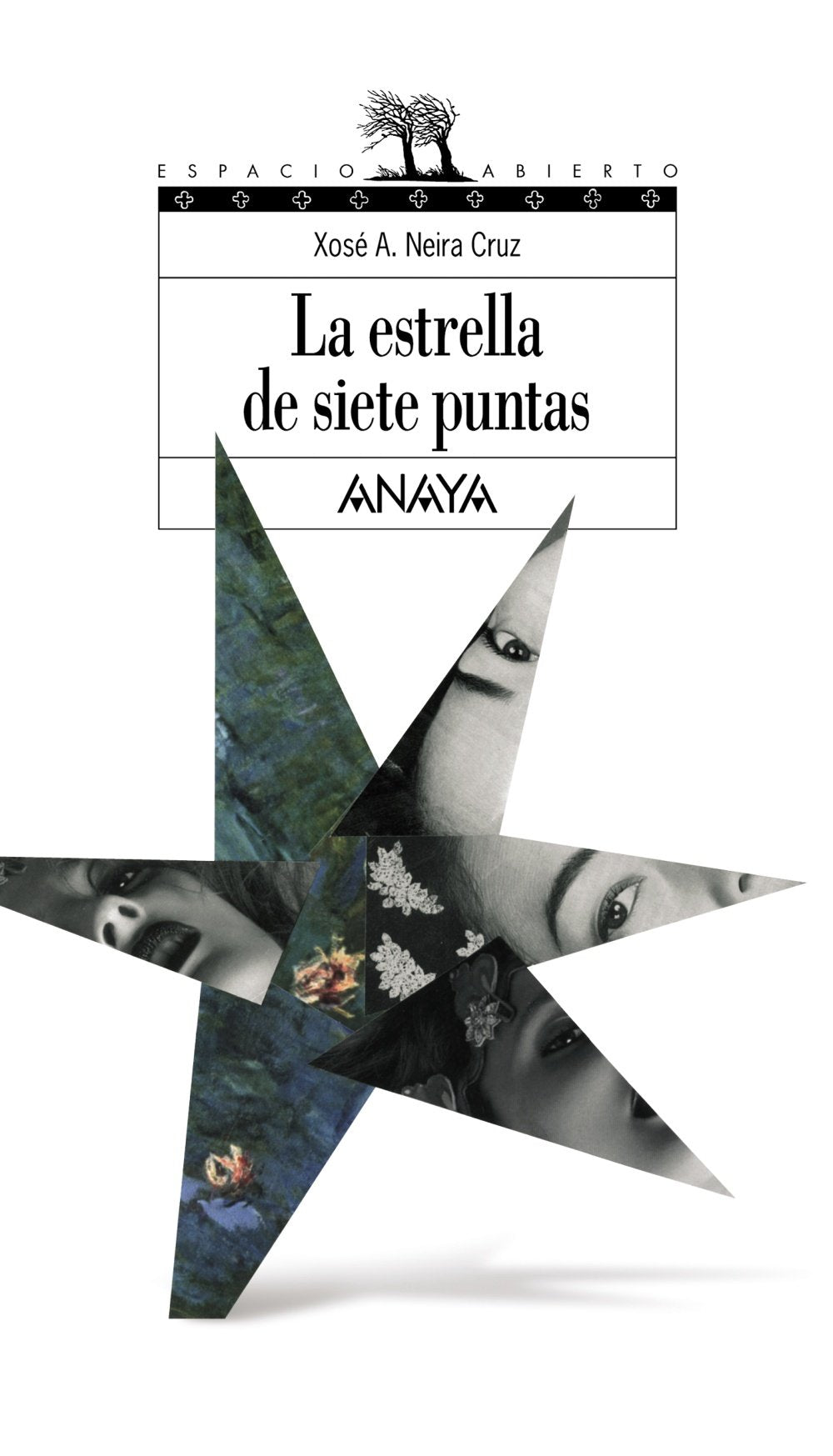 La Estrella De Siete Puntas / The Seven Pointed Star book
