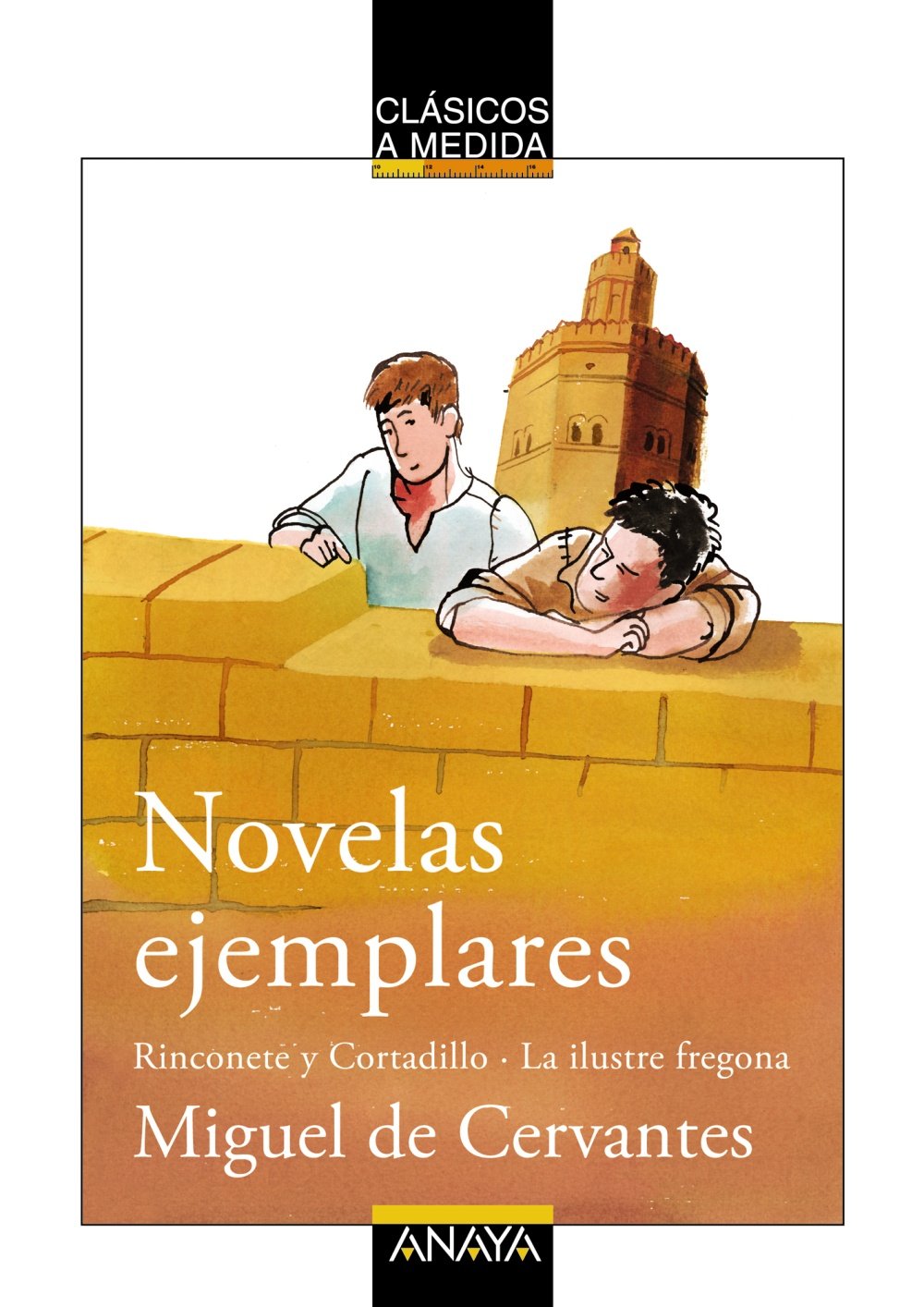 Novelas ejemplares : Rinconete y Cortadillo ; La ilustre fregona Social Sciences