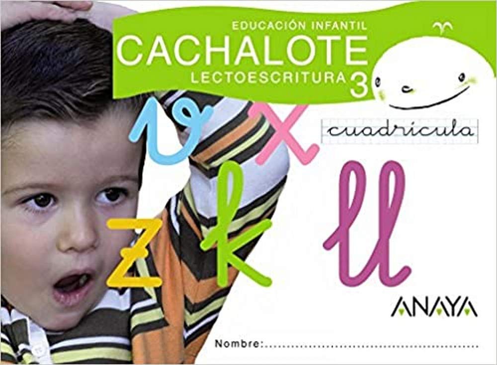 Lectoescritura 3. Cuadrícula book