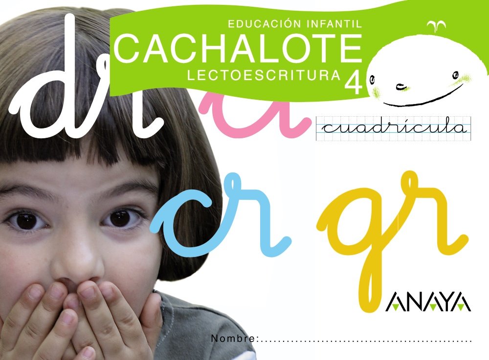 Lectoescritura 4. Cuadrícula book