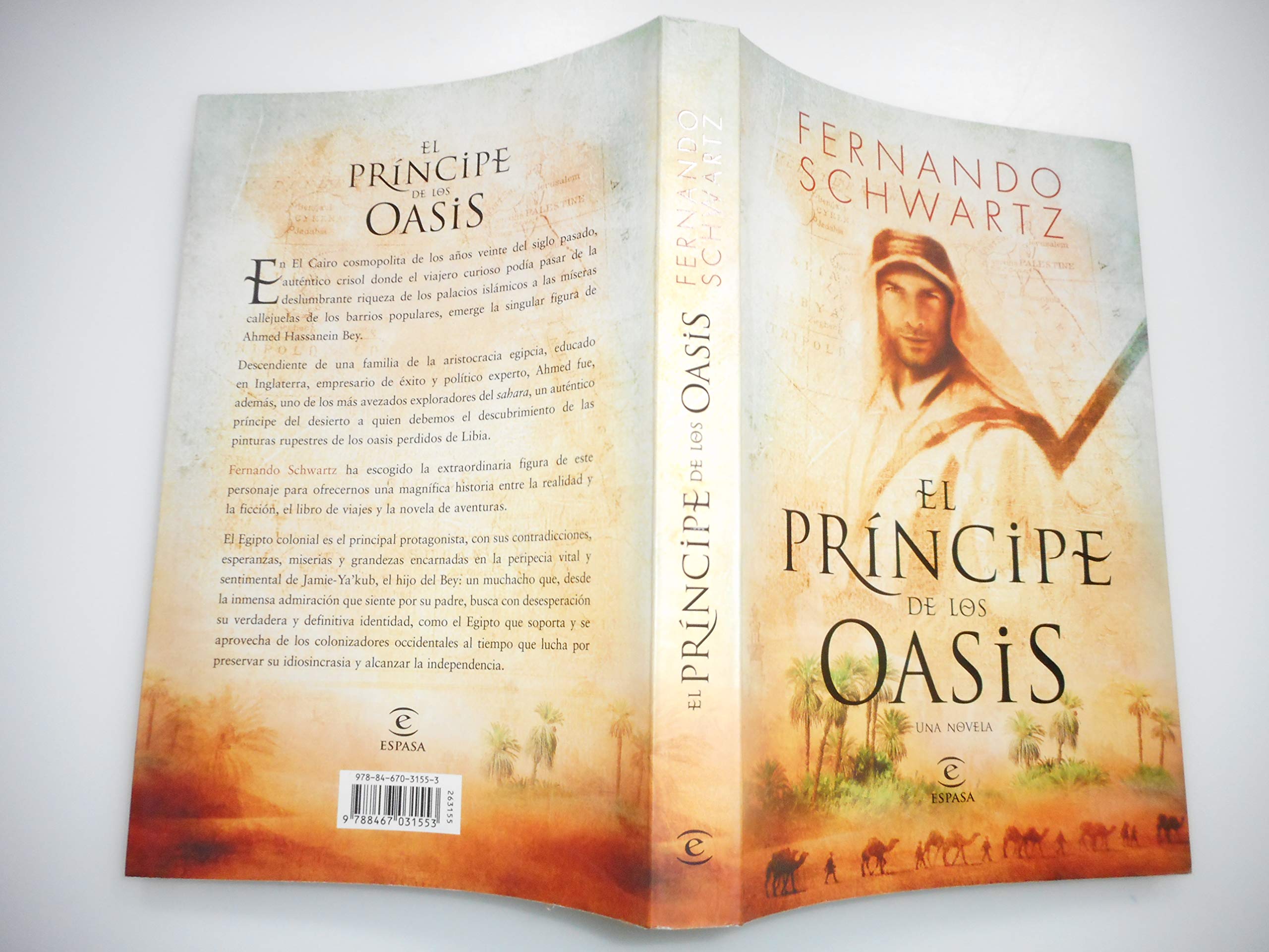 El príncipe de los oasis book