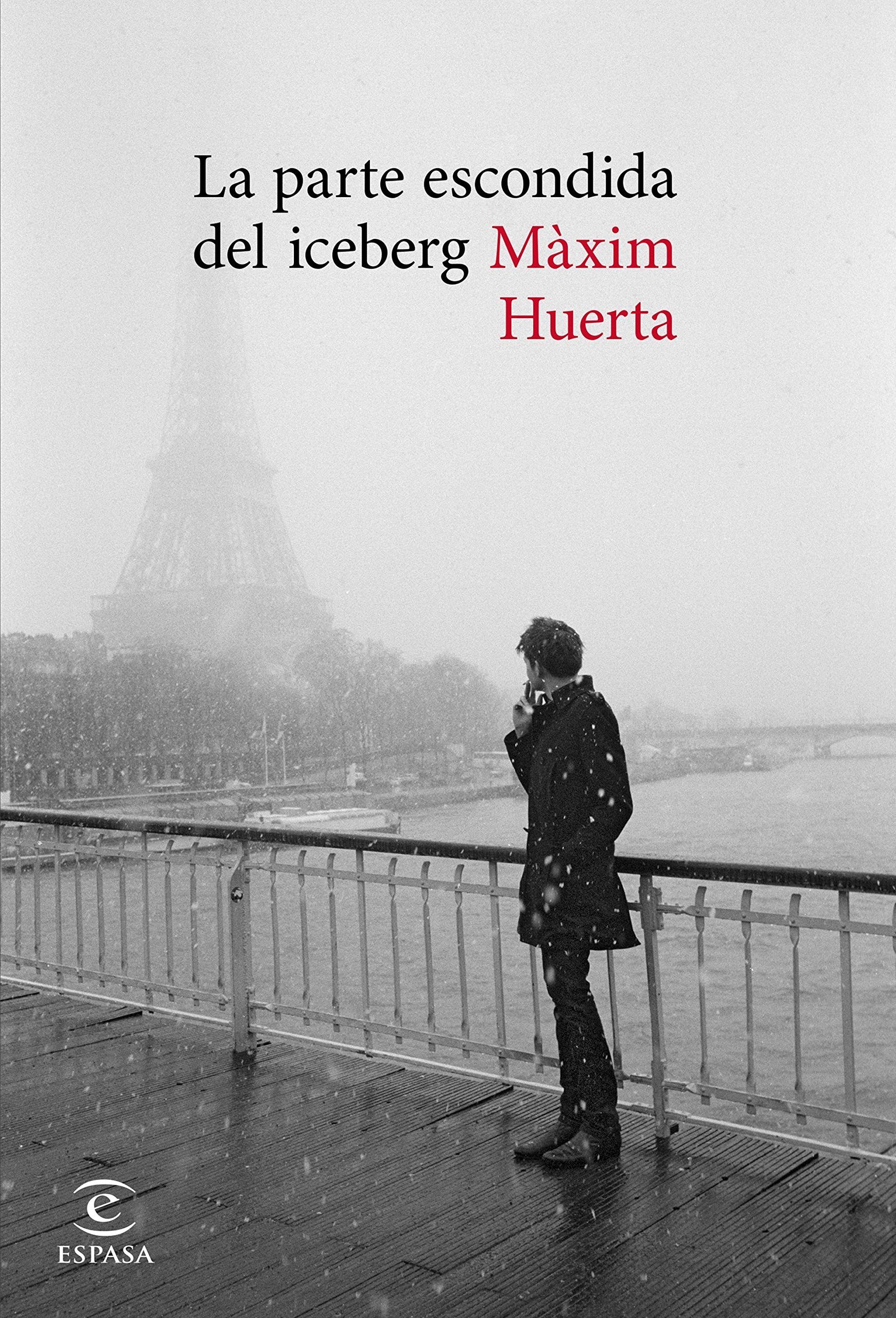 La parte escondida del iceberg Contemporary literature Books
