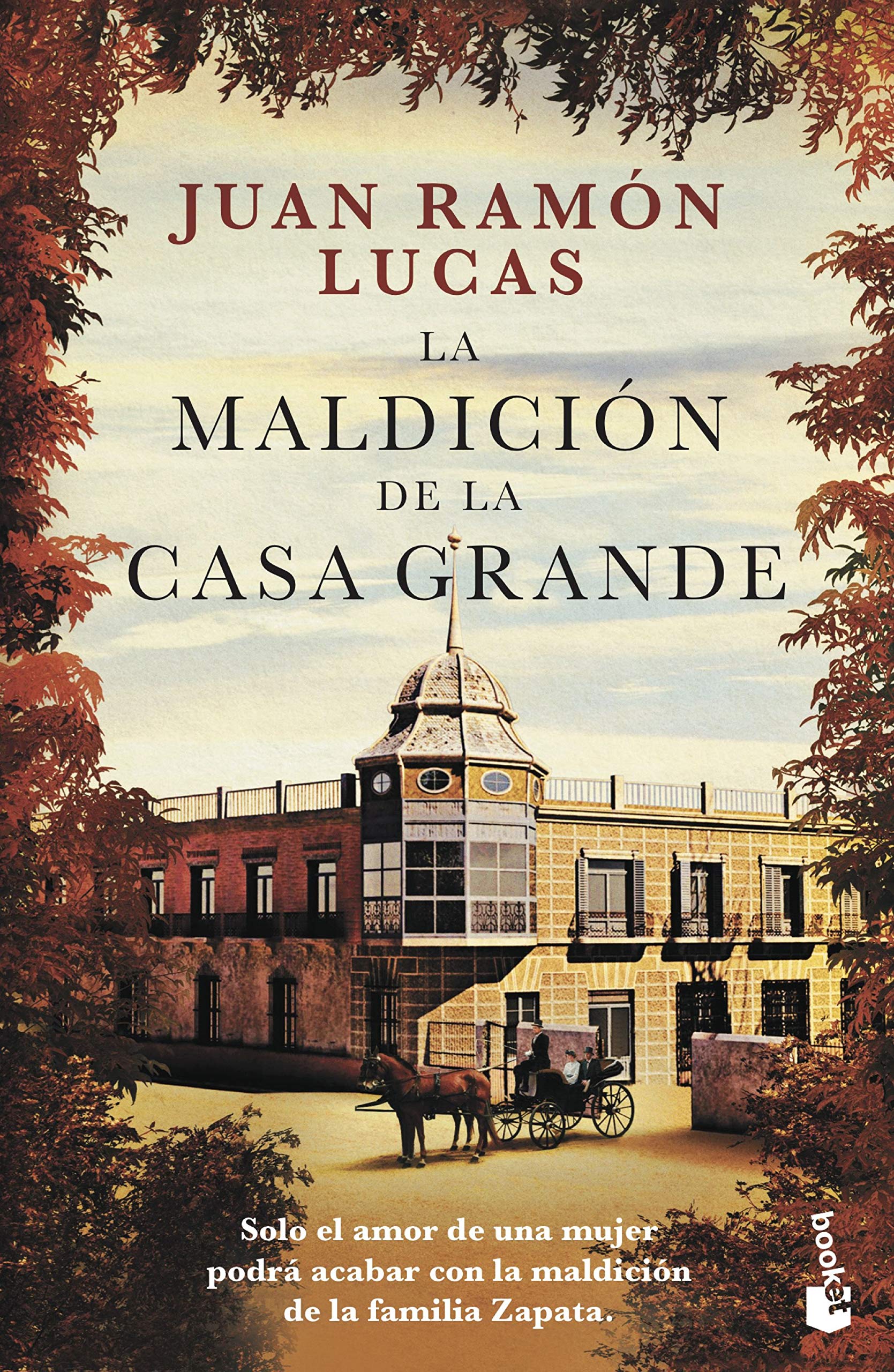 La maldición de la Casa Grande (Novela) Contemporary literature