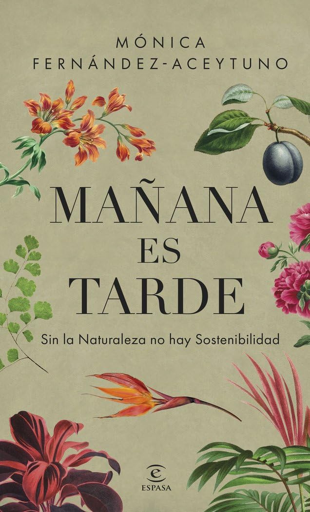 Mañana es tarde book
