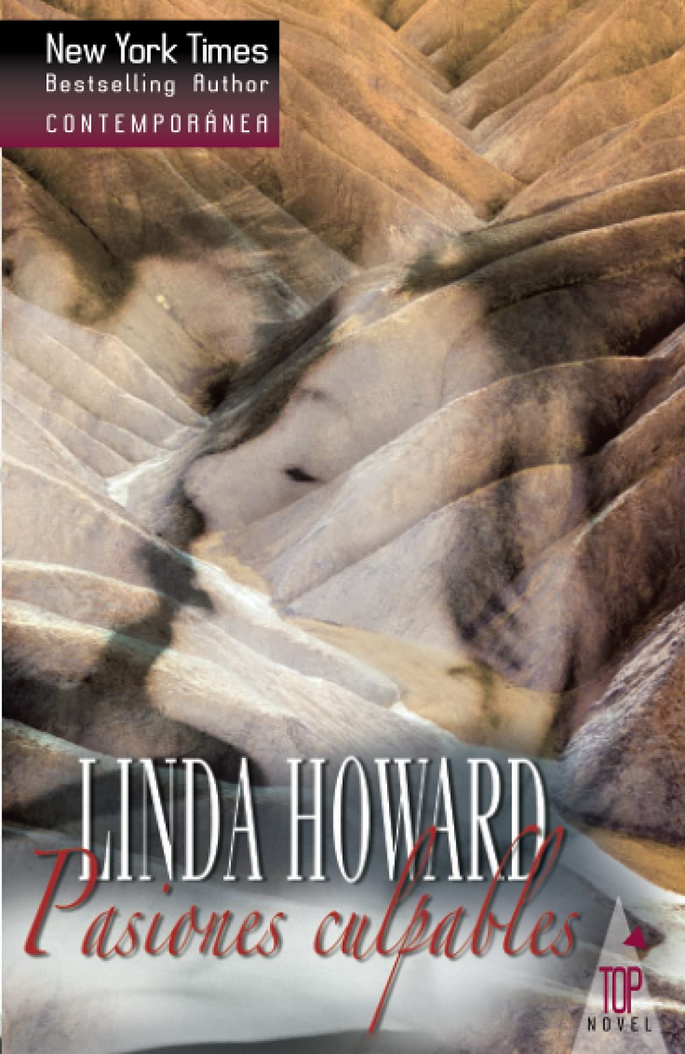 Su unica oportunidad Contemporary literature