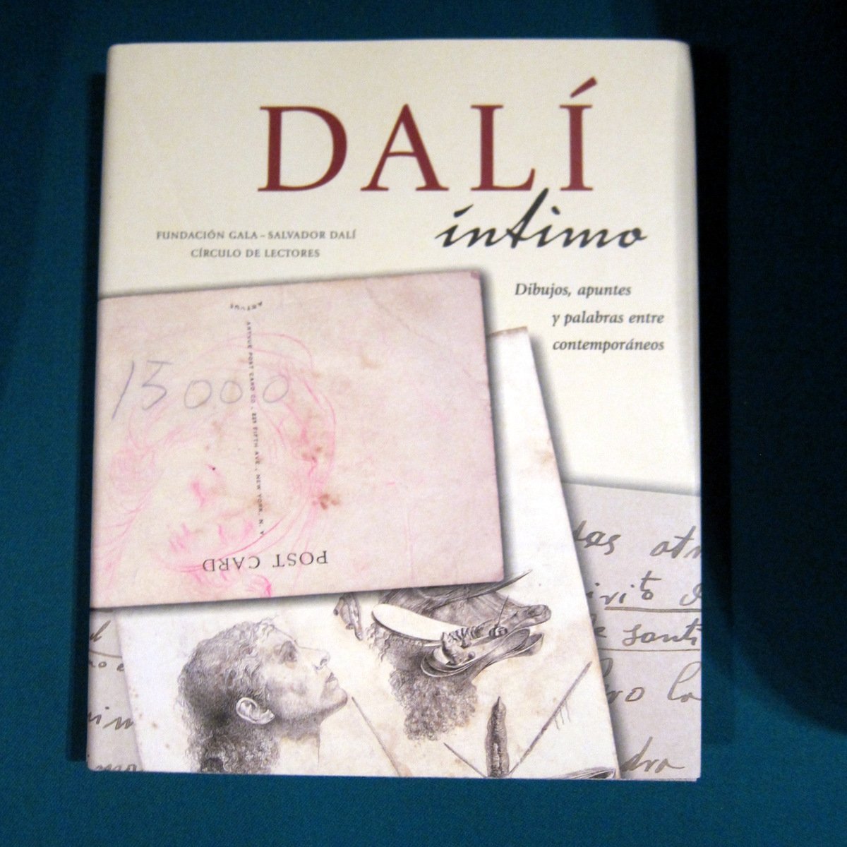 Dali intimo: dibujos, apuntes y palabras entre contemporaneos book
