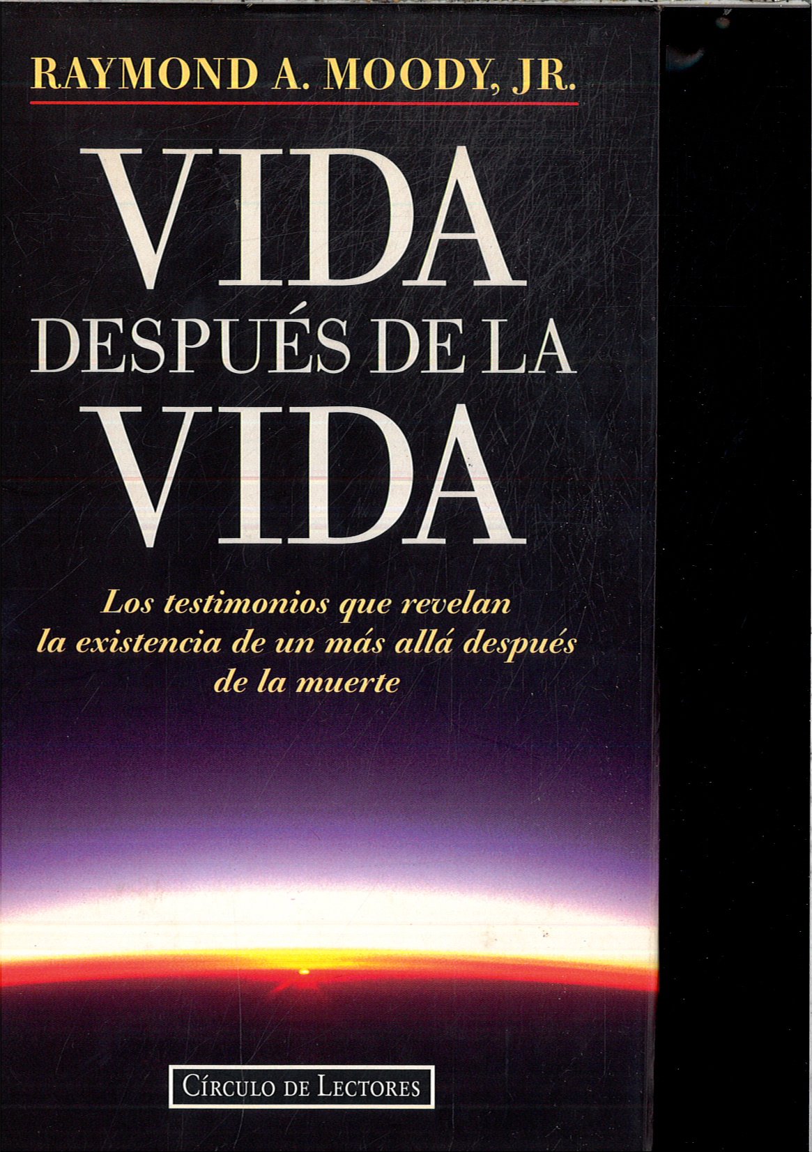 Vida después de la vida book