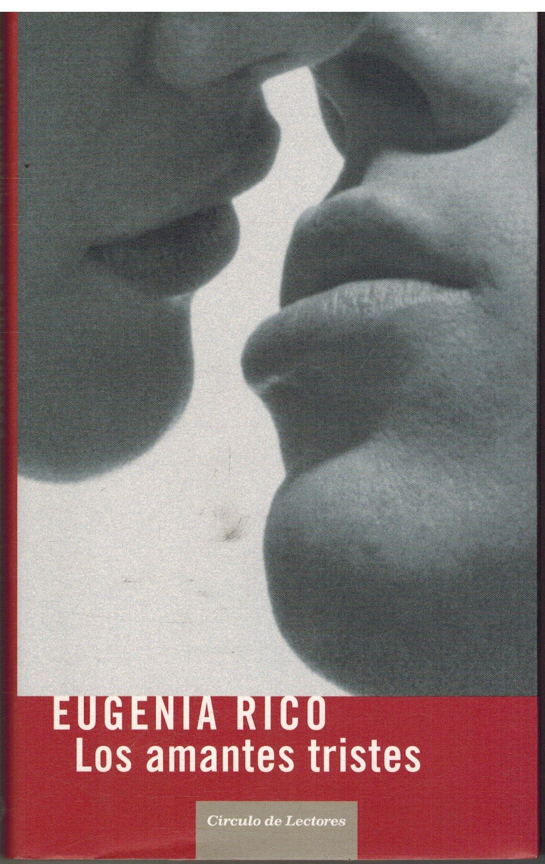 LOS AMANTES TRISTES book