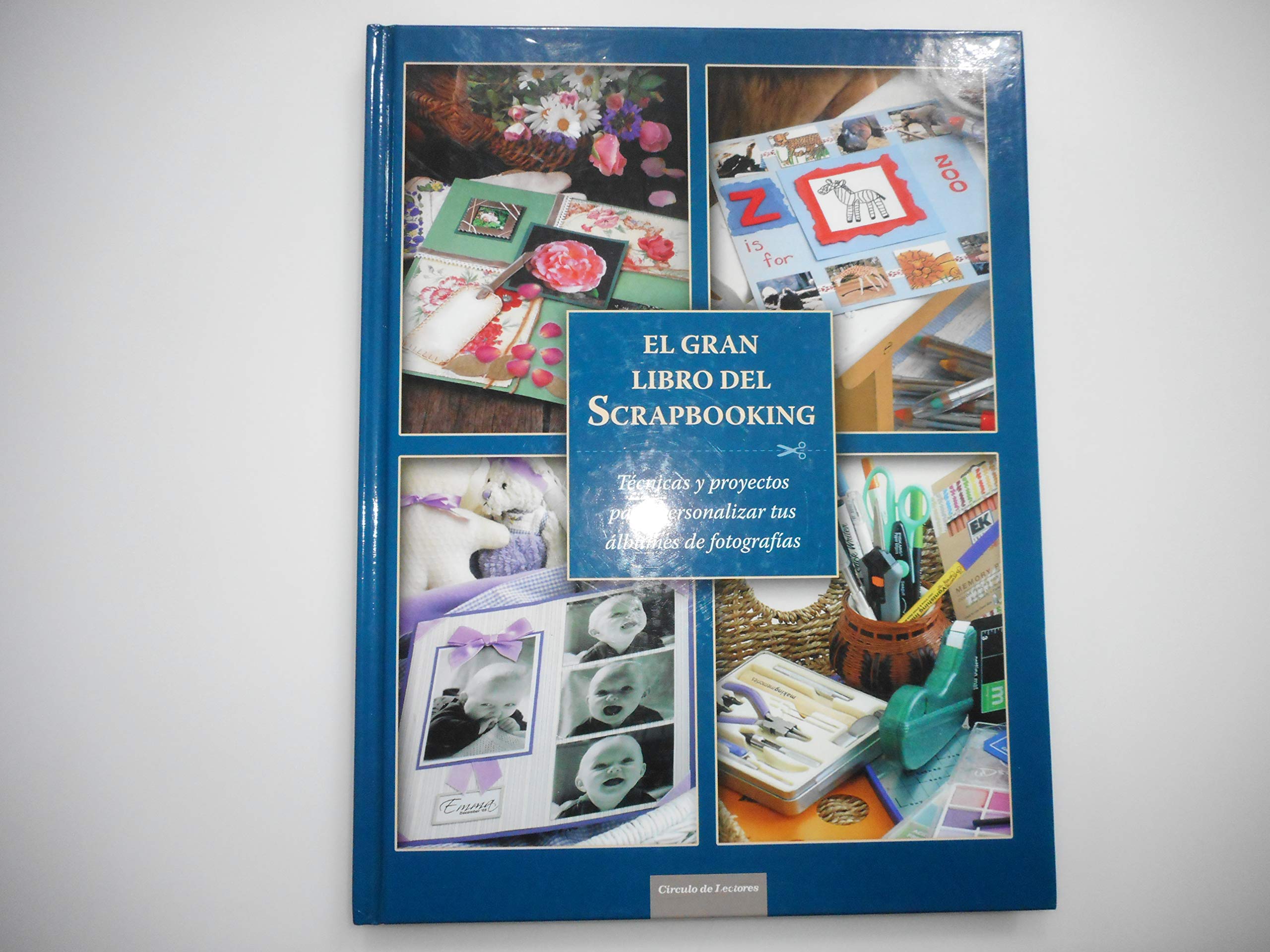 EL GRAN LIBRO DEL SCRAPBOOKING. TÉCNICAS Y PROYECTOS PARA PERSONALIZAR TUS ÁLBUMES DE FOTOGRAFÍAS Books