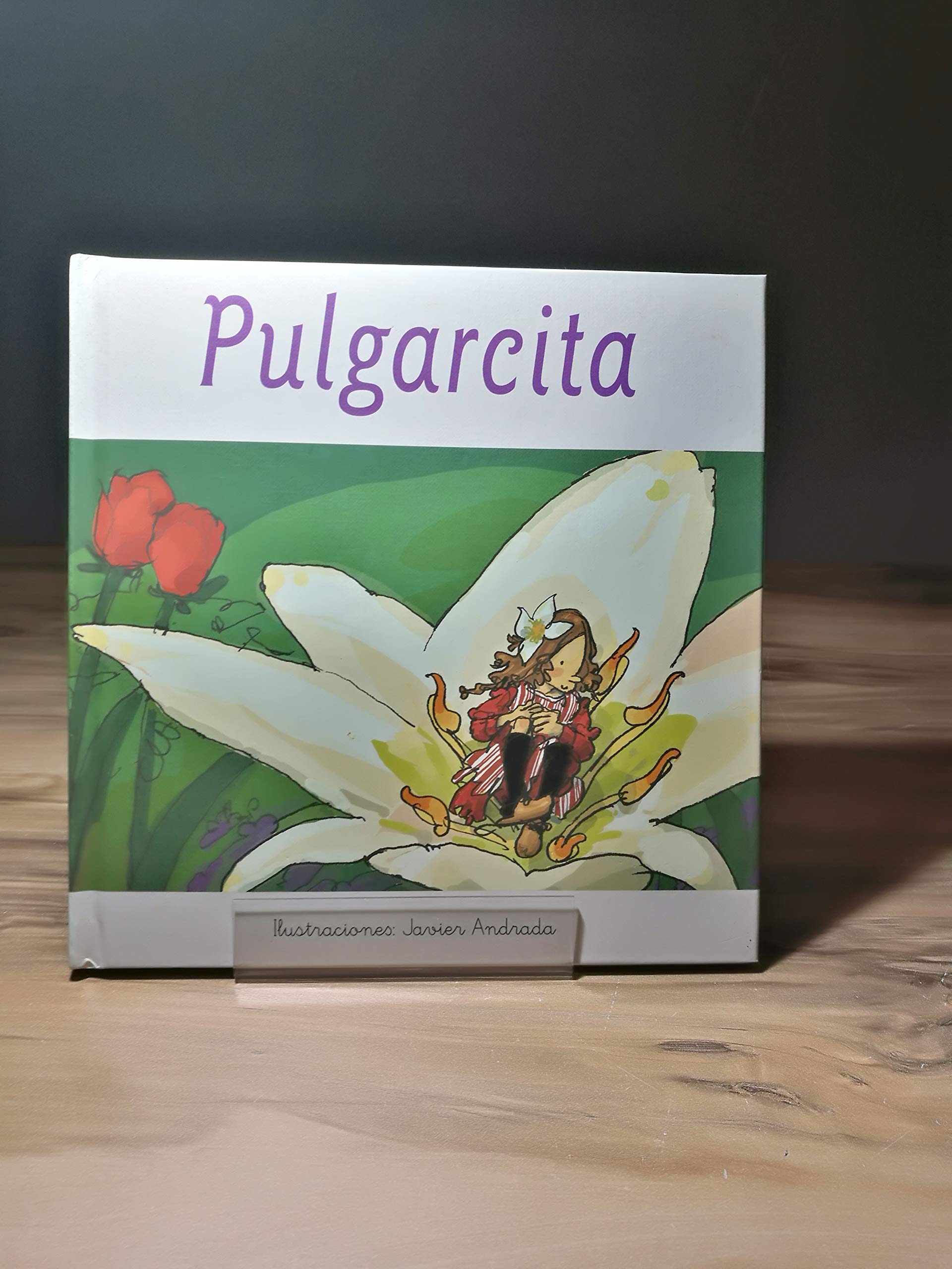Pulgarcita book