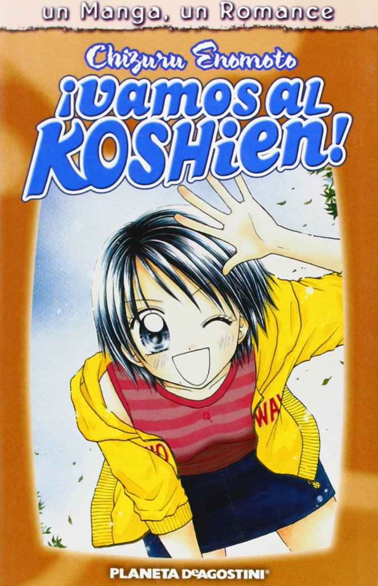 Un manga un romance nº 10/15 book