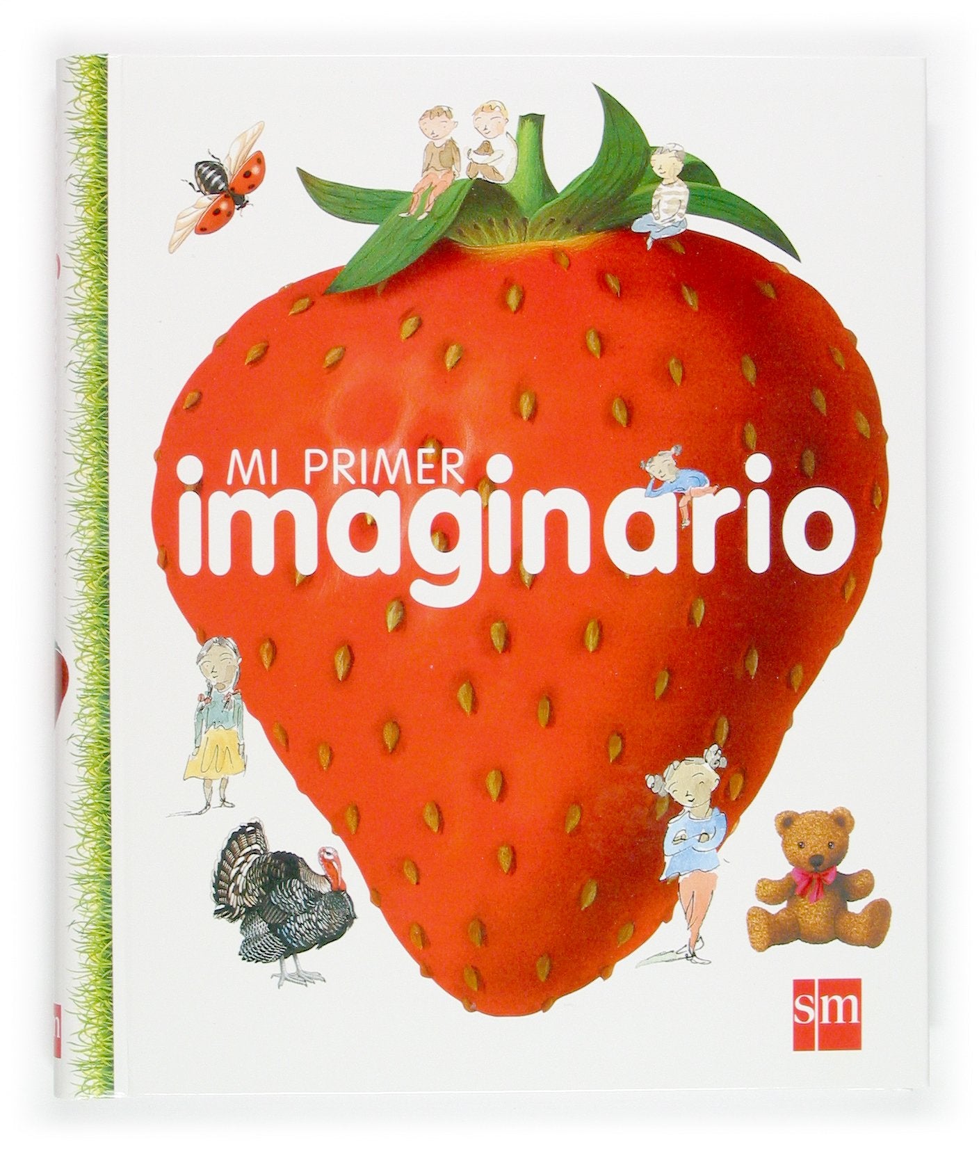 Mi primer imaginario Social Sciences