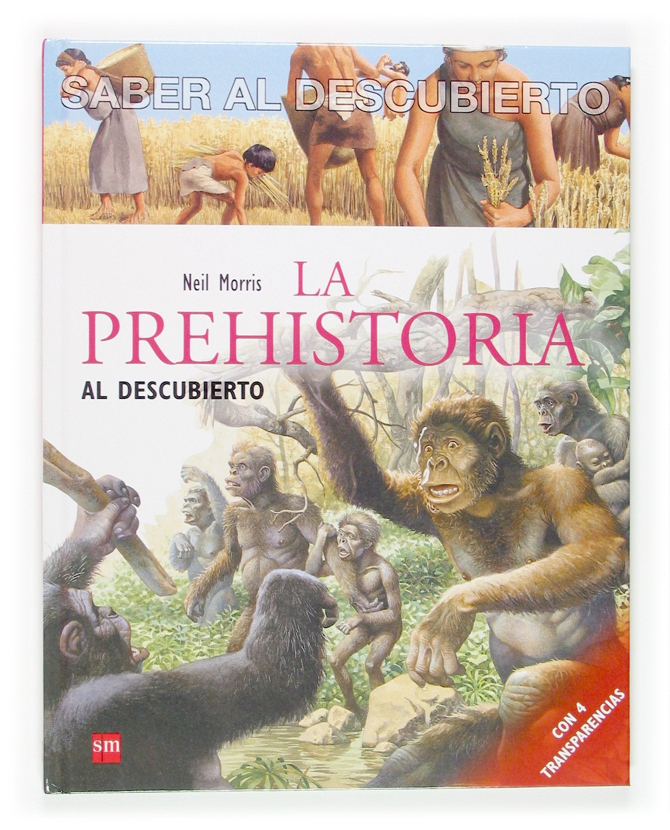 La prehistoria al descubierto (Saber al descubierto, Band 9) Novels & Short Stories