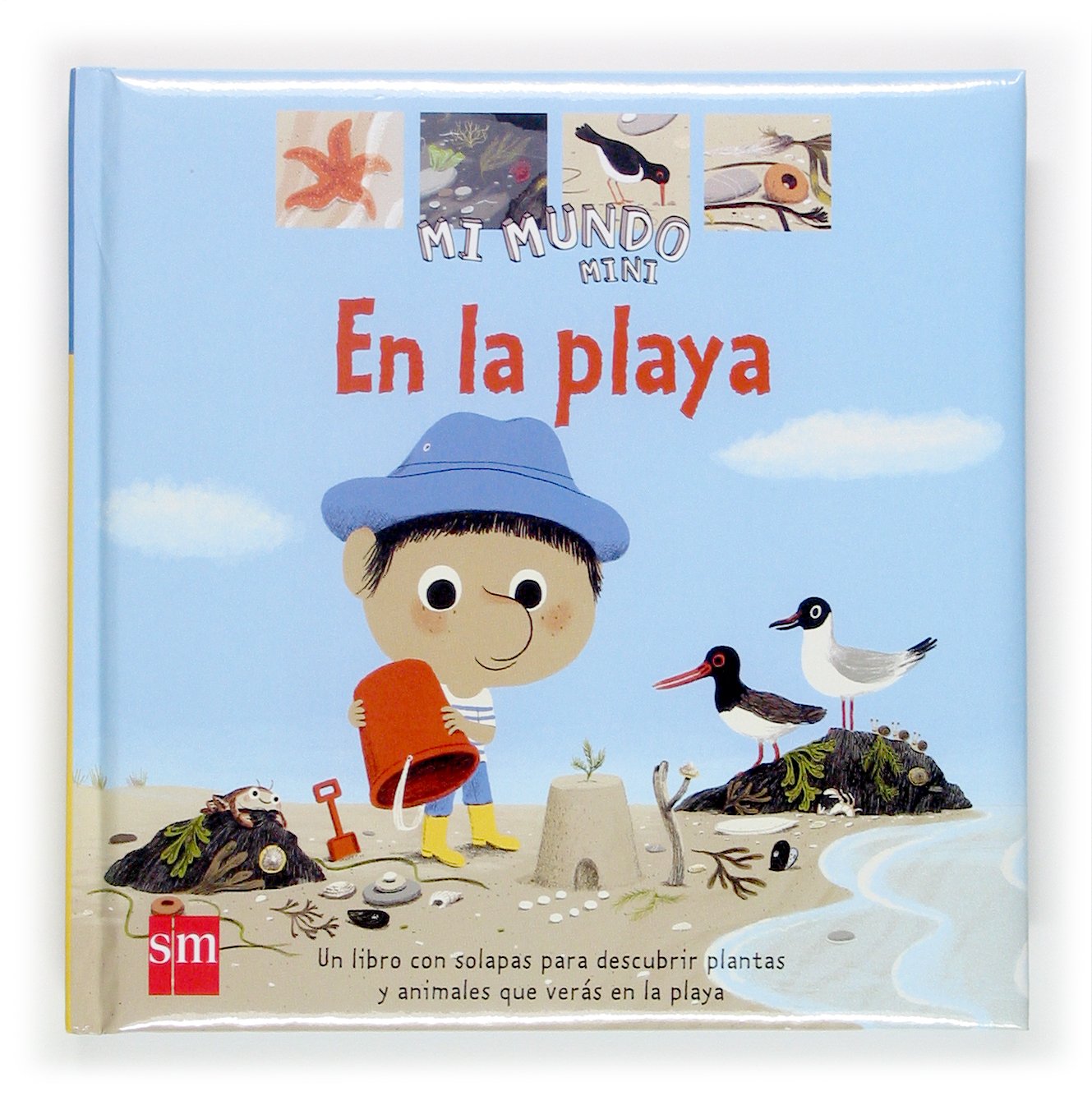 En la playa (Mi Mundo Mini, Band 10) Social Sciences