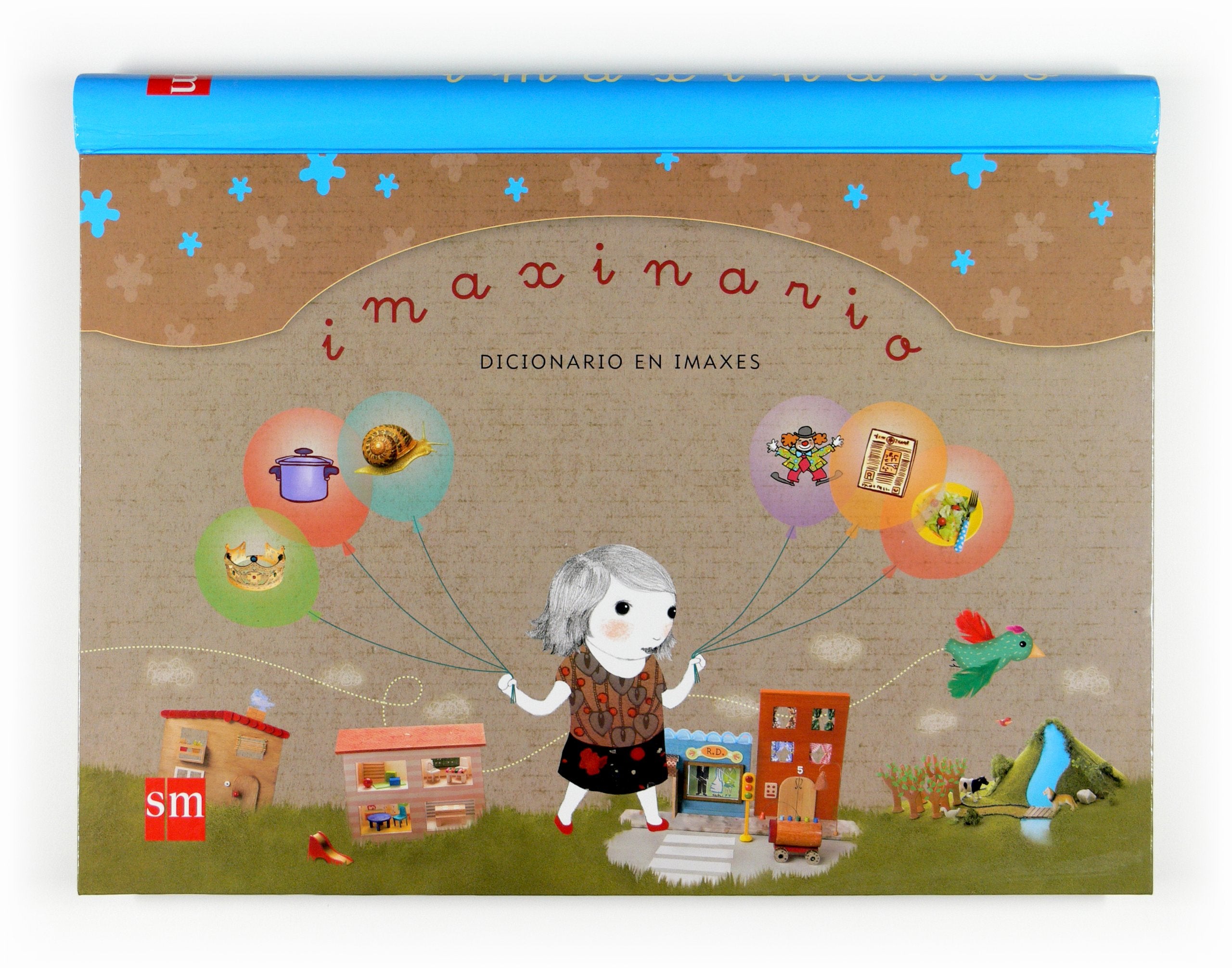 Imaxinario: Dicionario en imaxes book