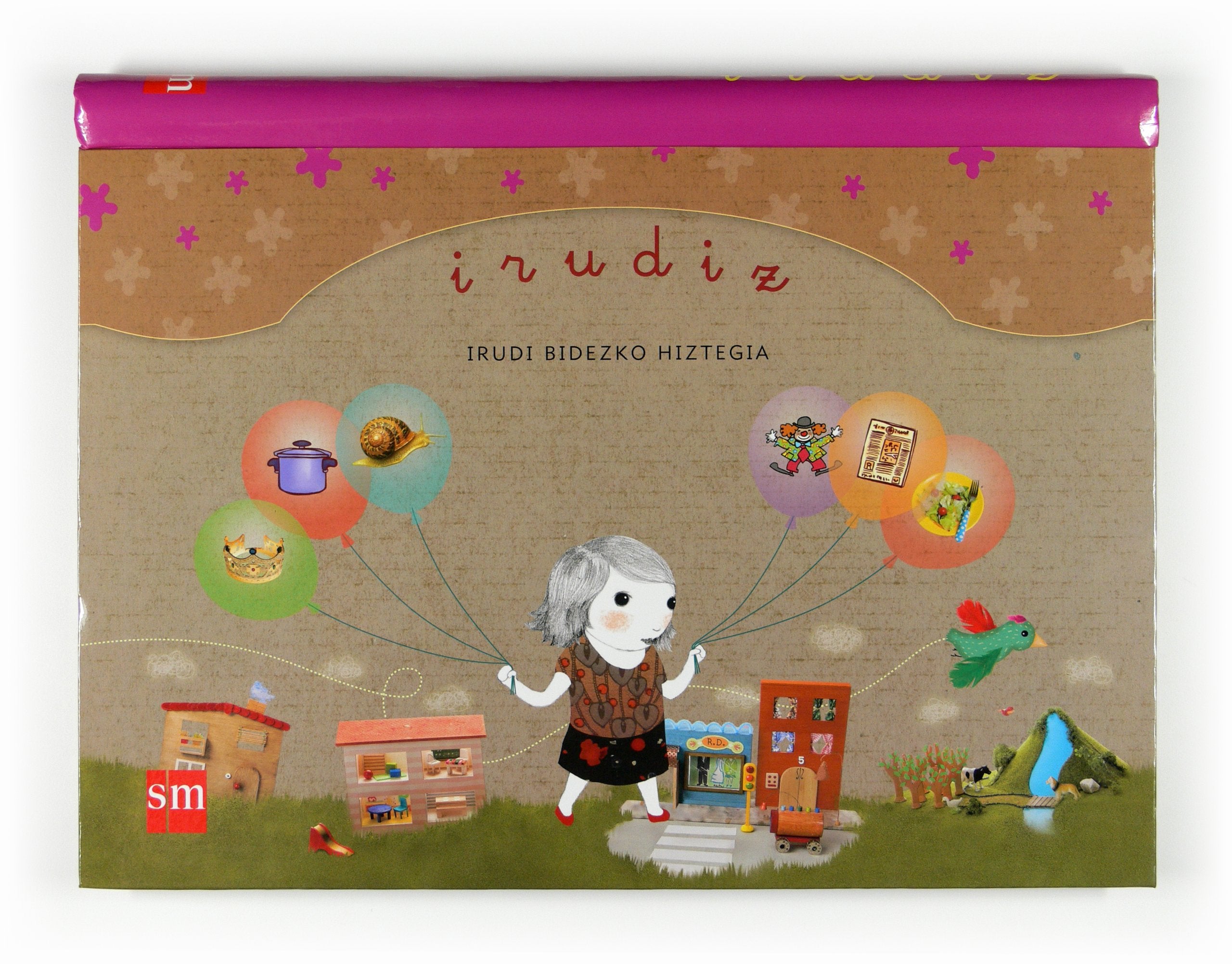 Irudiz: Irudi Bidezko Hiztegia book