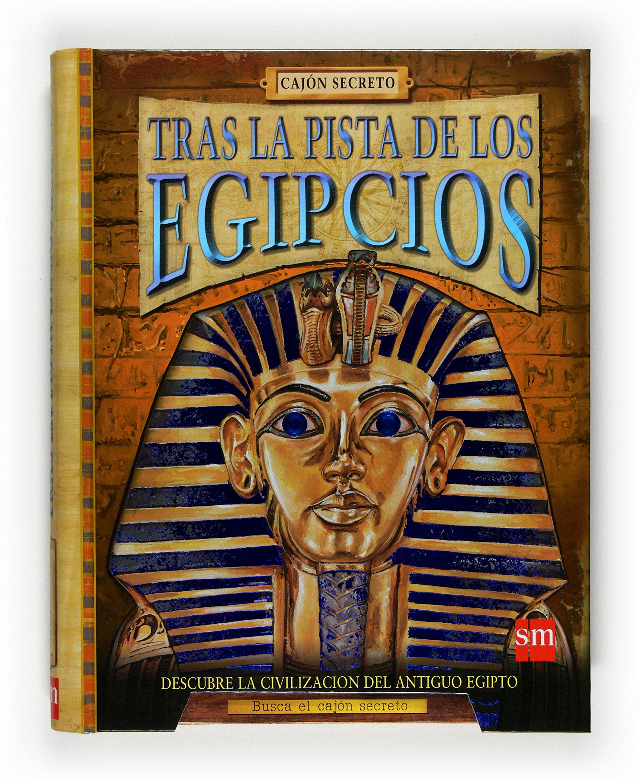 Tras la pista de los egipcios book
