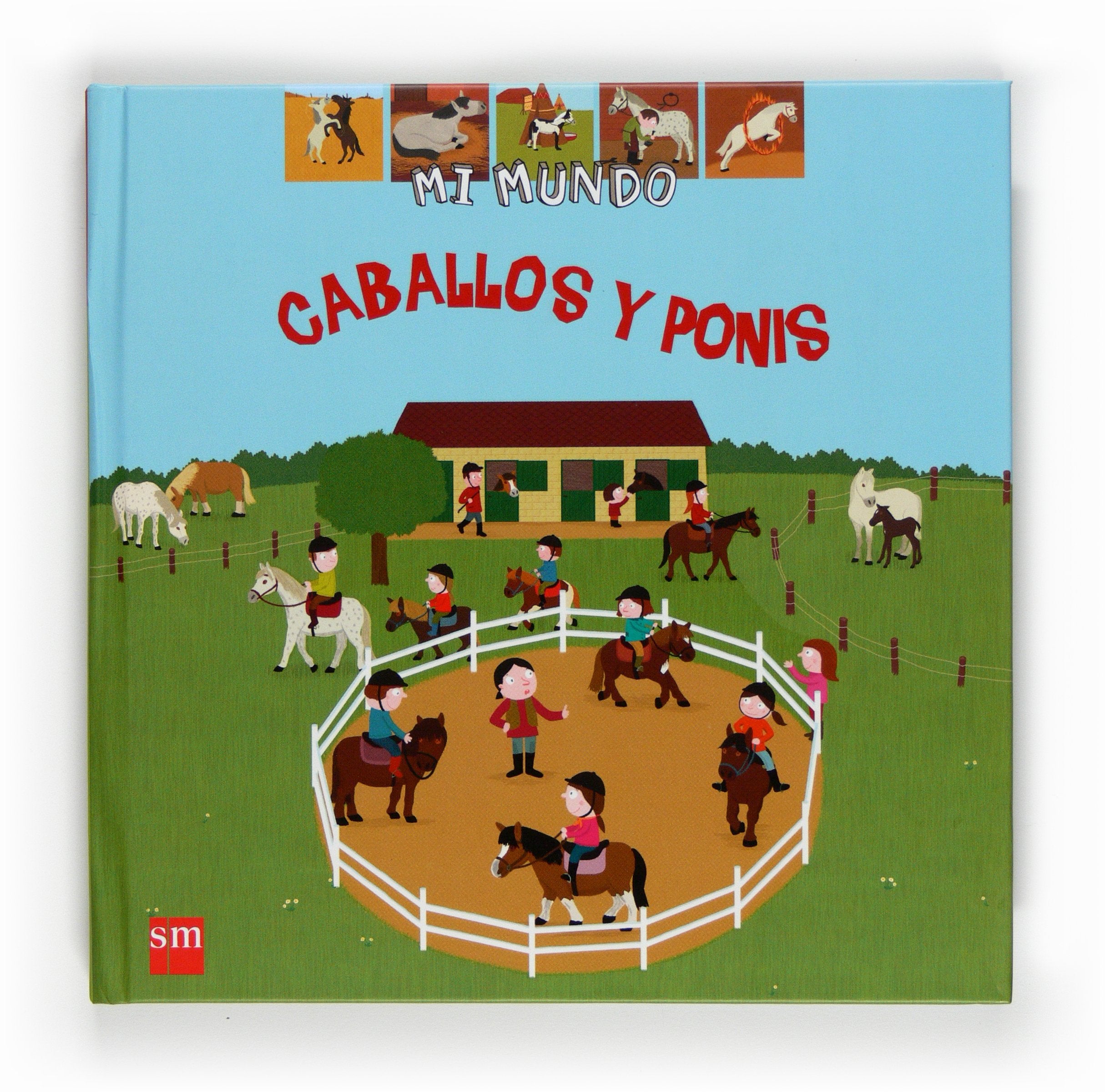 Caballos y ponis (Mi mundo, Band 35) Social Sciences