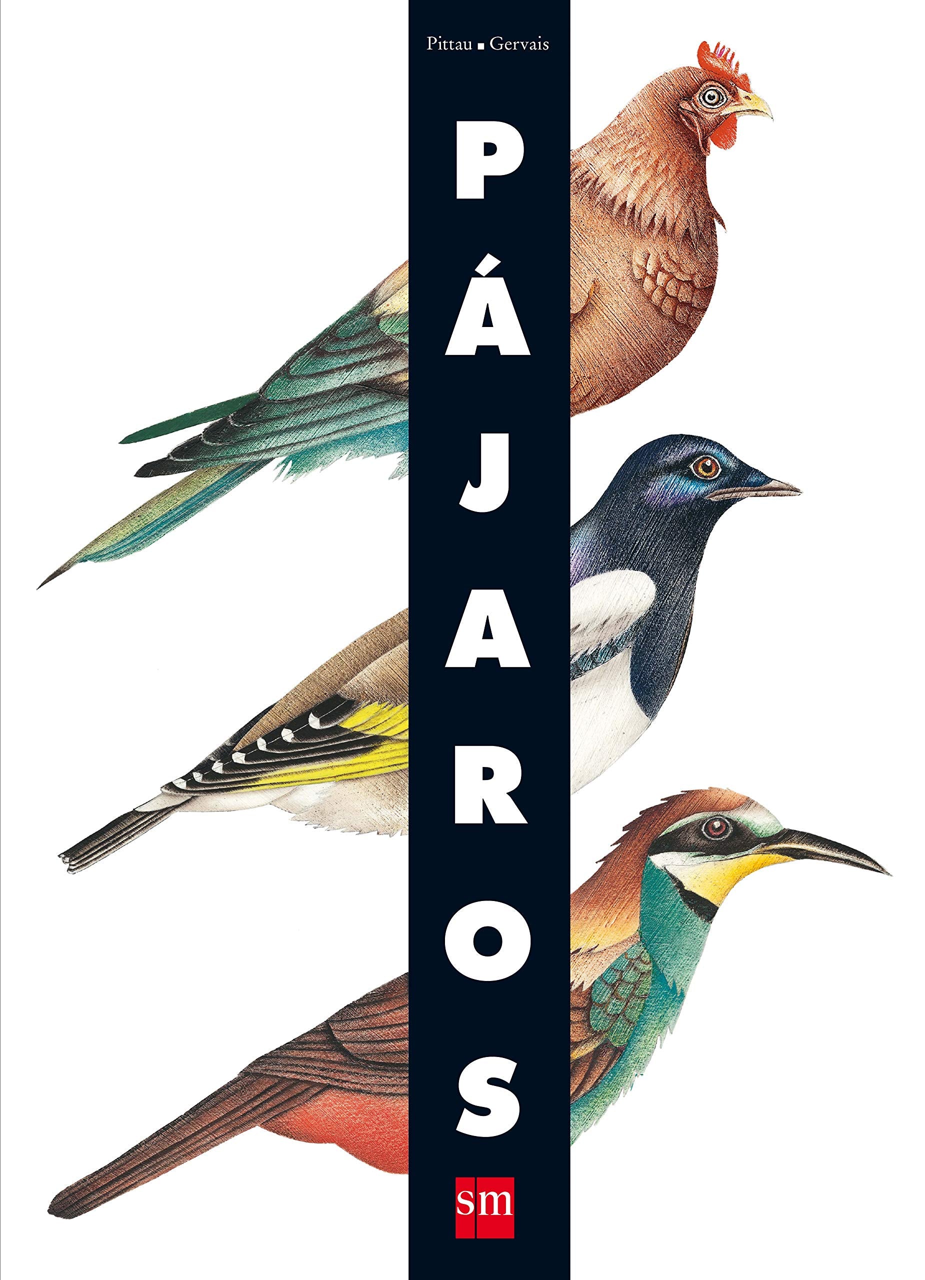 Pájaros Social Sciences