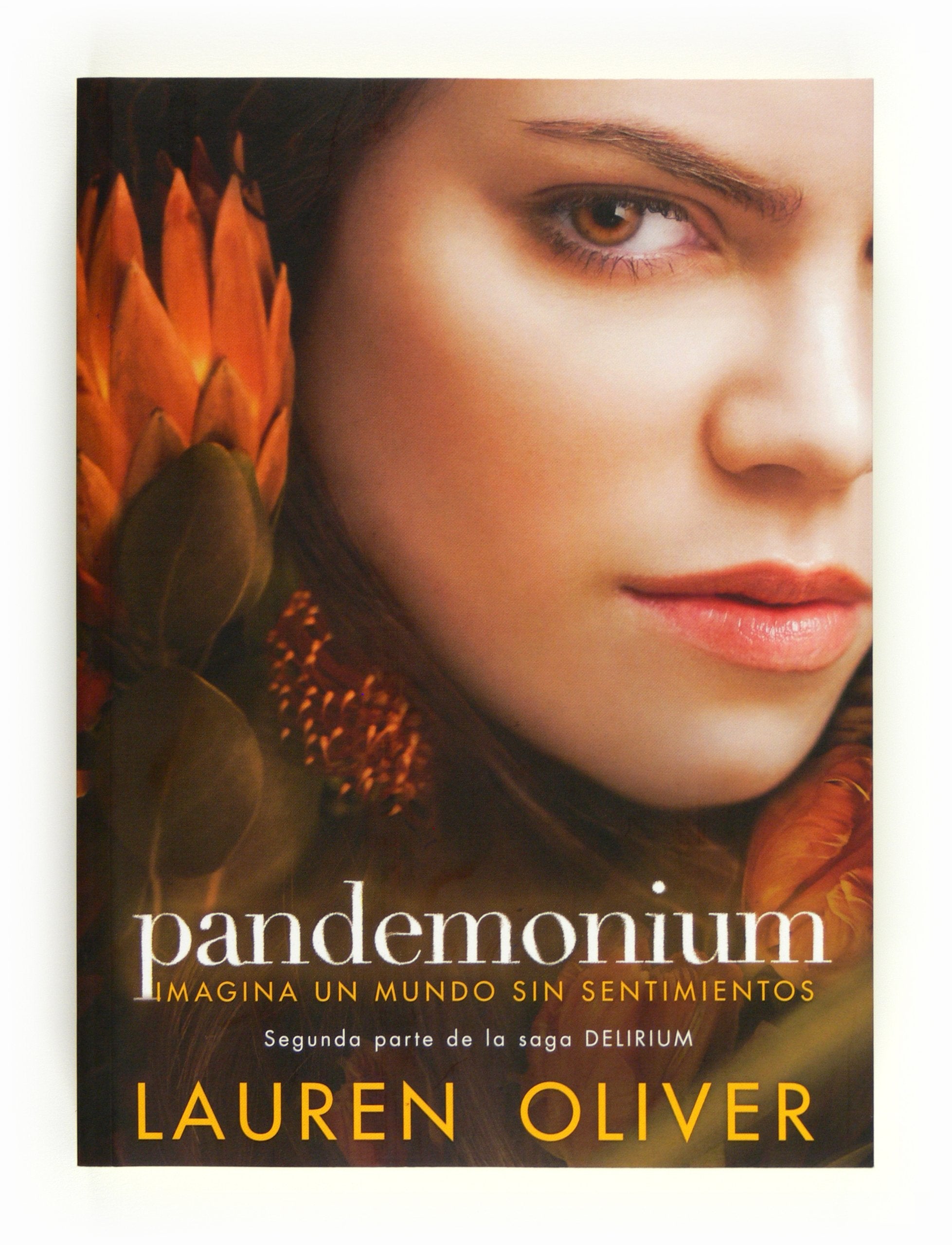 Pandemonium (Saga Delirium, Band 2) Social Sciences