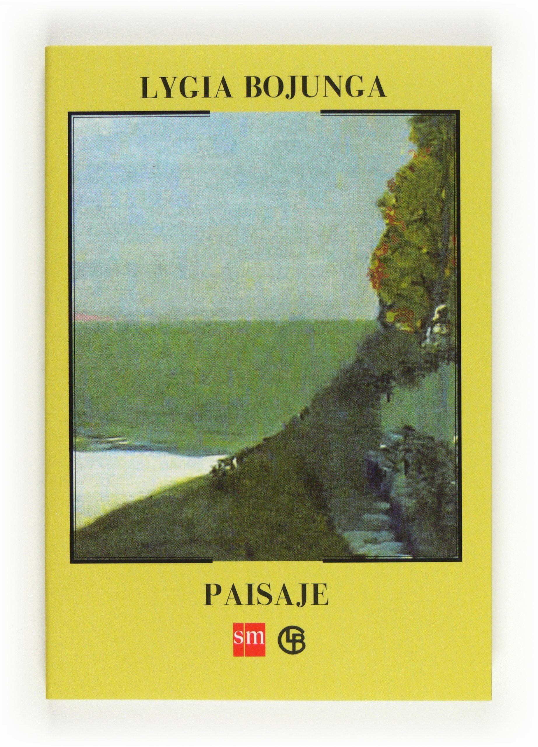 Paisaje (Biblioteca lygia bojunga, Band 12) Books