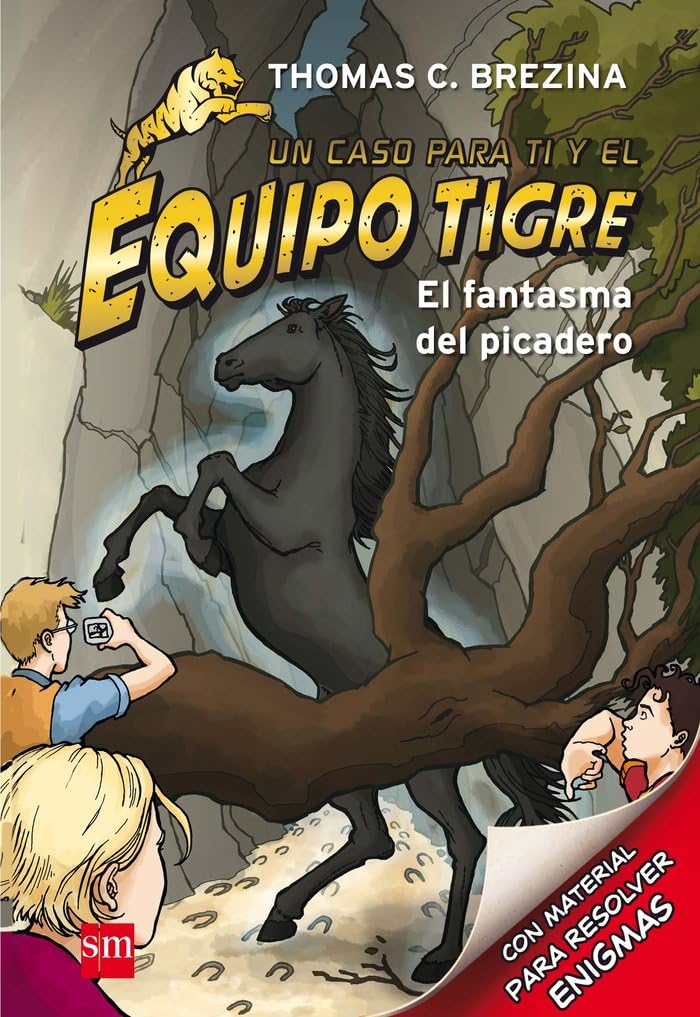 El fantasma del picadero book