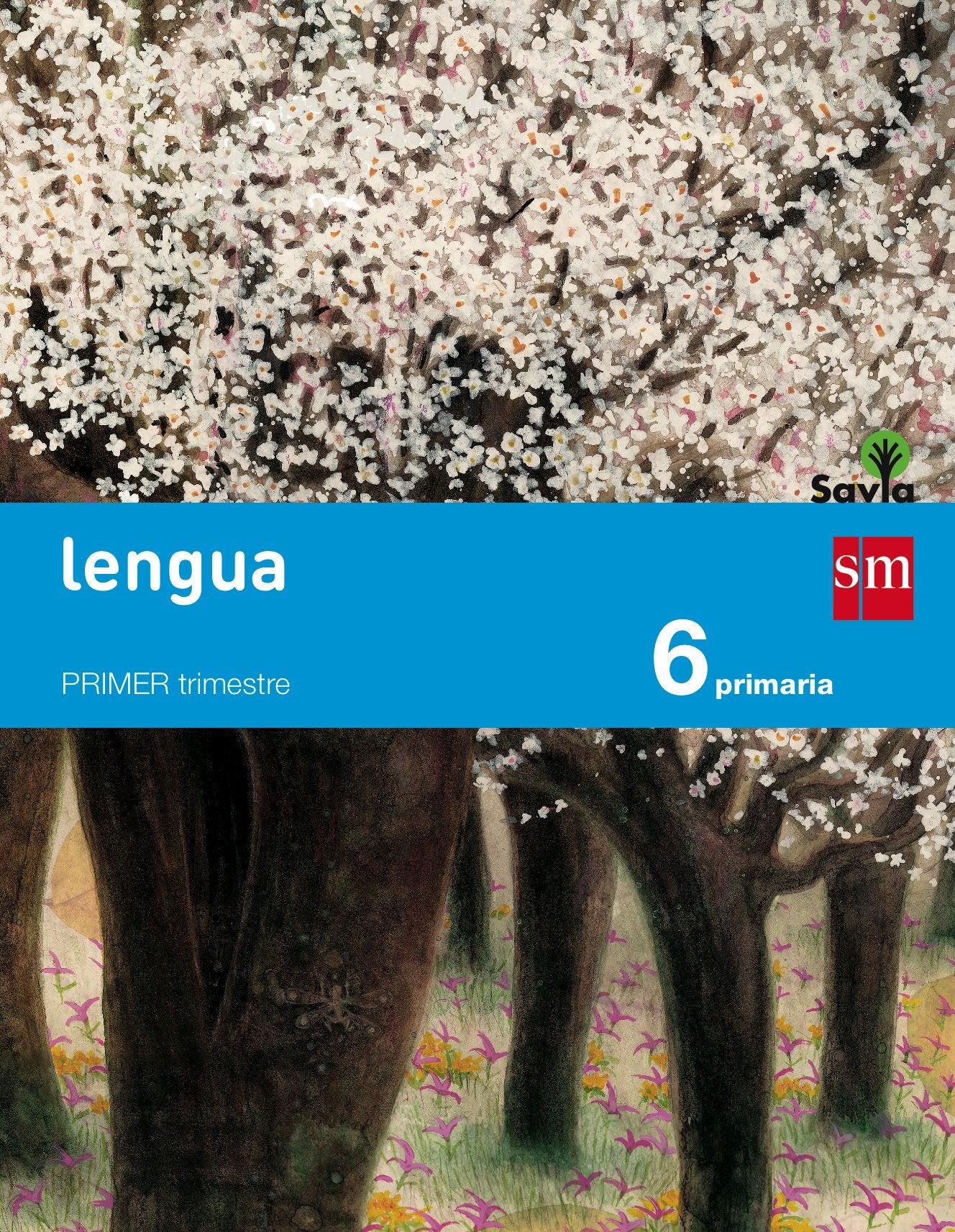 Lengua. 6 Primaria. Savia Foreign Languages ​​& Dictionaries