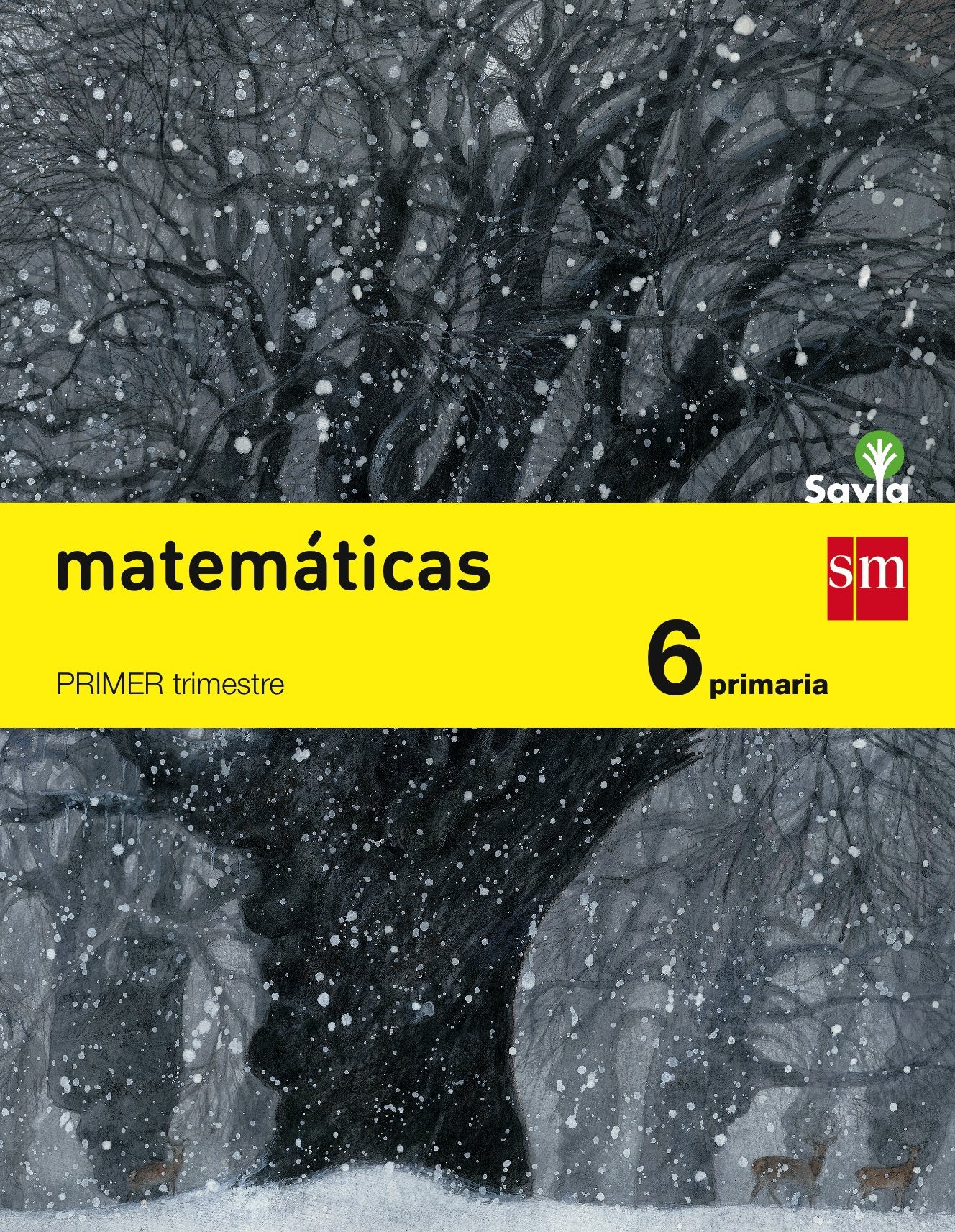Savia, matemáticas, 6 Educación Primaria: Matematicas 6 Primaria Foreign Languages ​​& Dictionaries