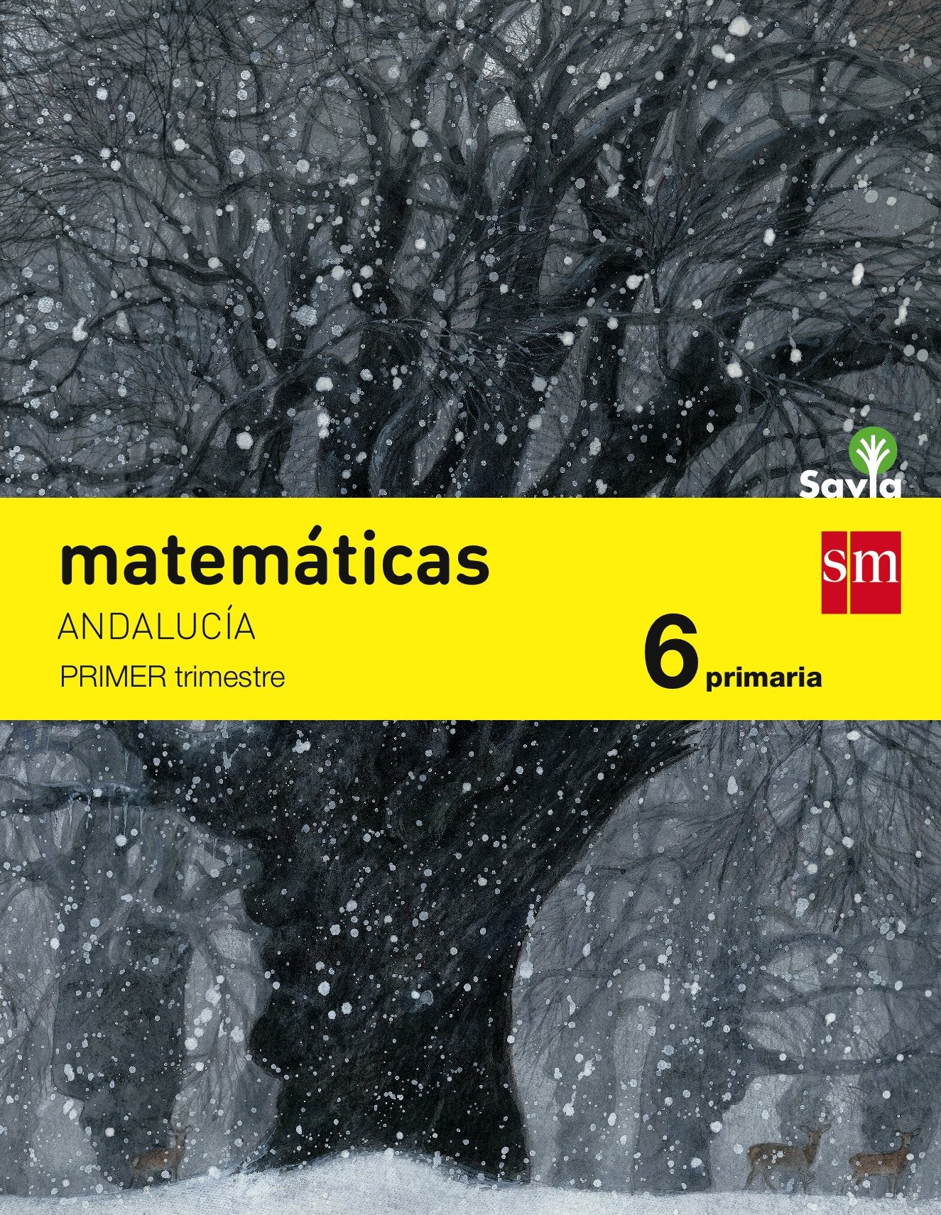 Matemáticas. 6 Primaria. Savia. Andalucía book