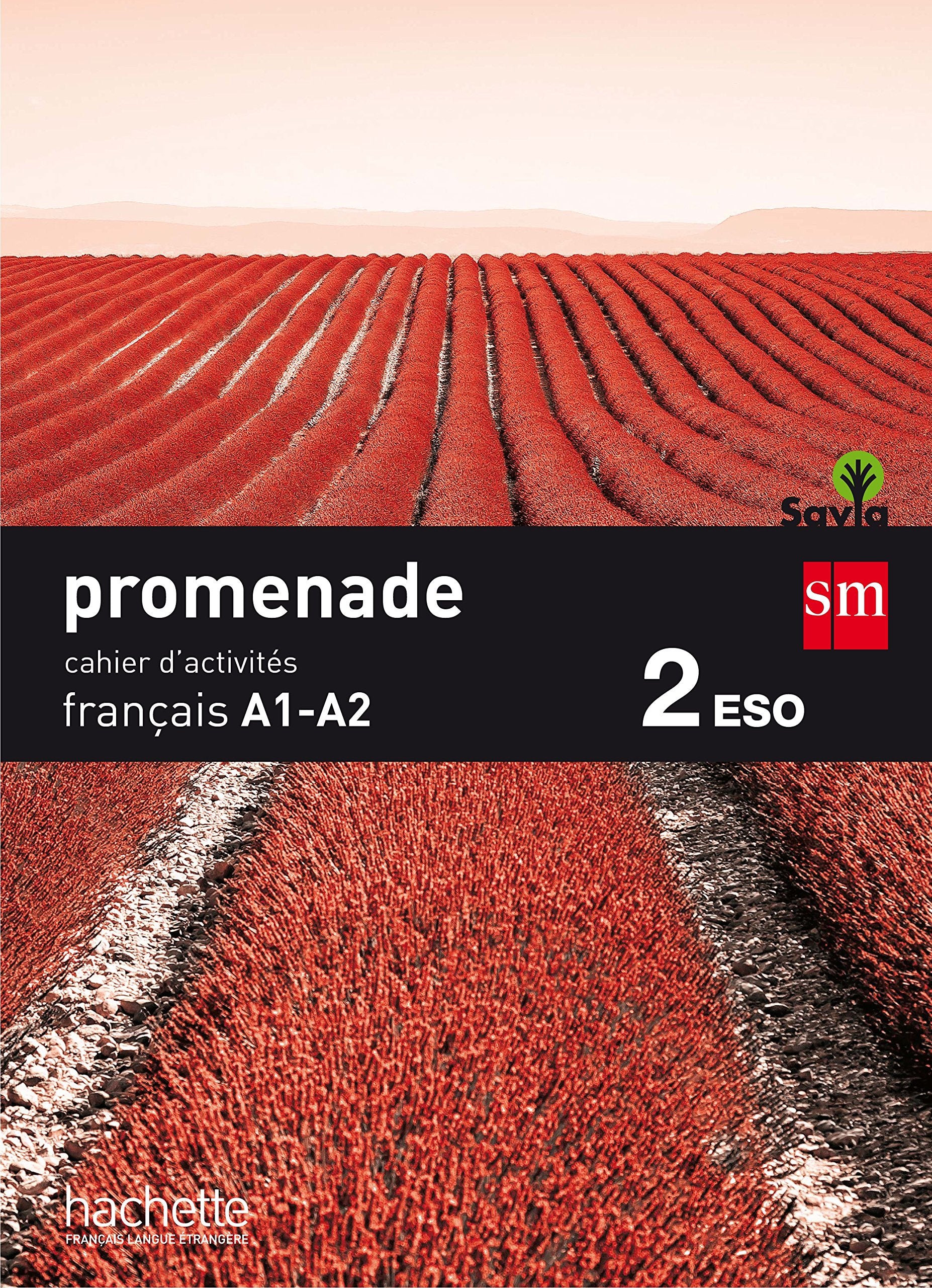 Promenade, français, 2 ESO. Cahier d'exercices Non-fiction