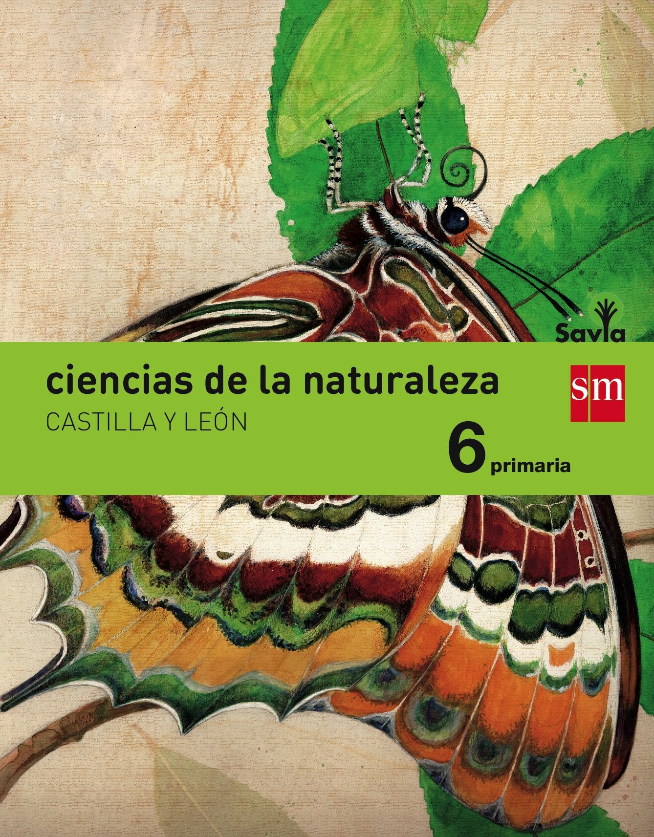 Ciencias de la naturaleza. 6 Primaria. Savia. Castilla y León book