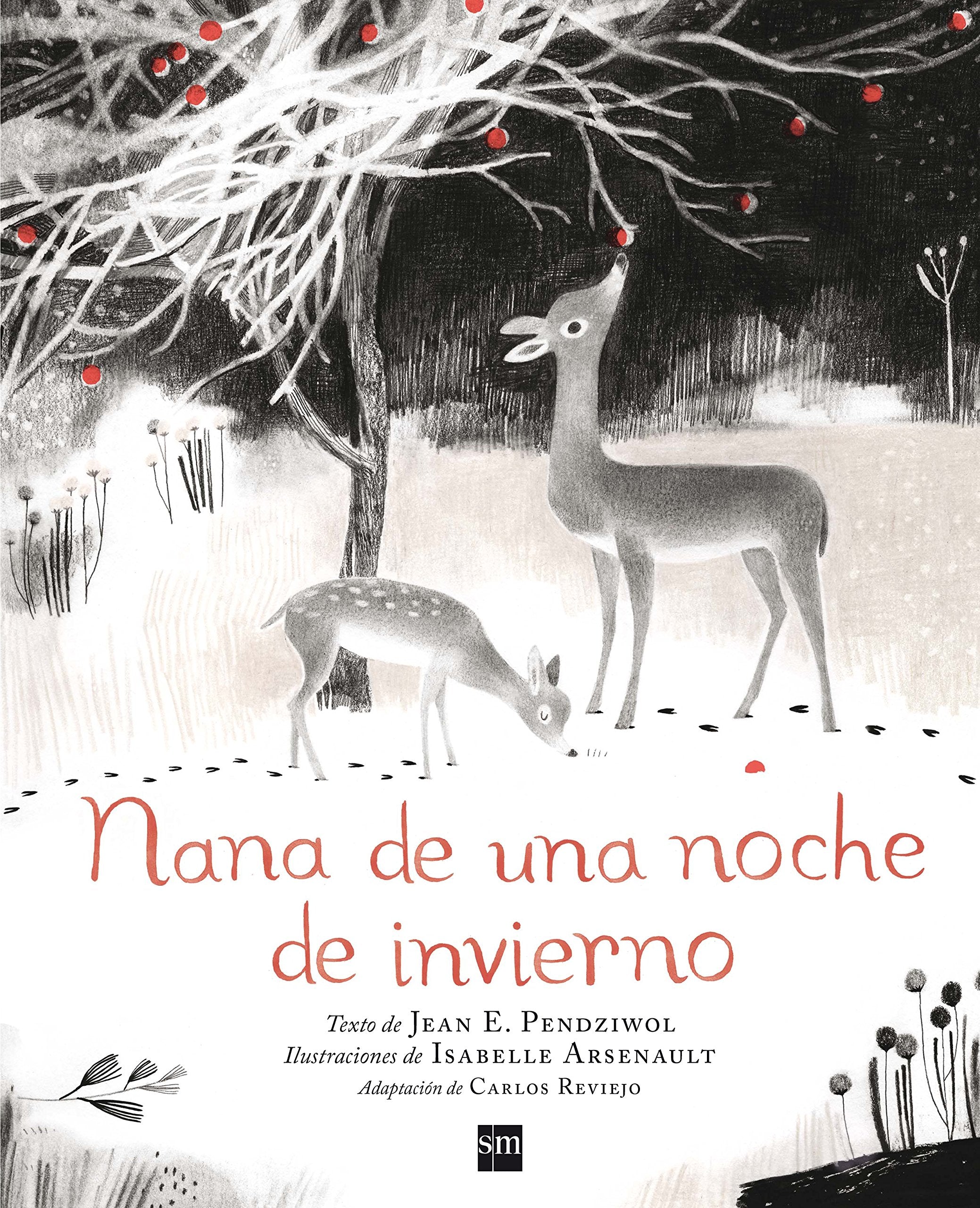 Nana de una noche de invierno (Álbumes ilustrados) Social Sciences
