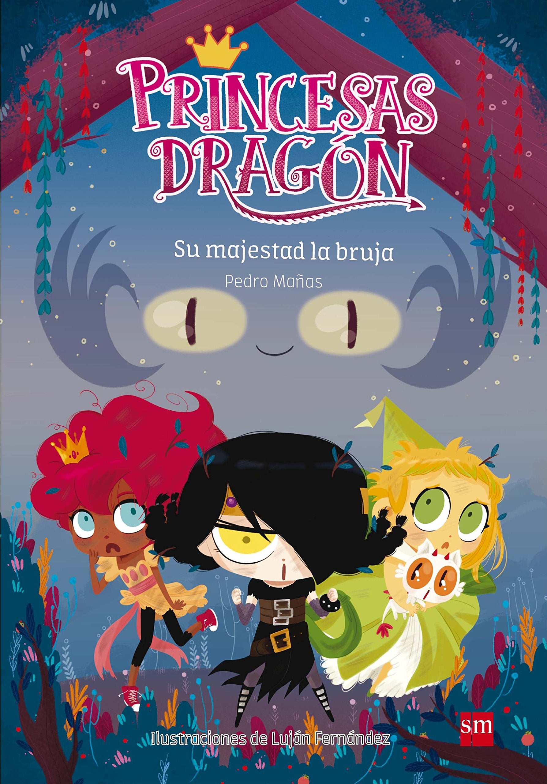 Princesas Dragón 3: Su majestad la bruja book