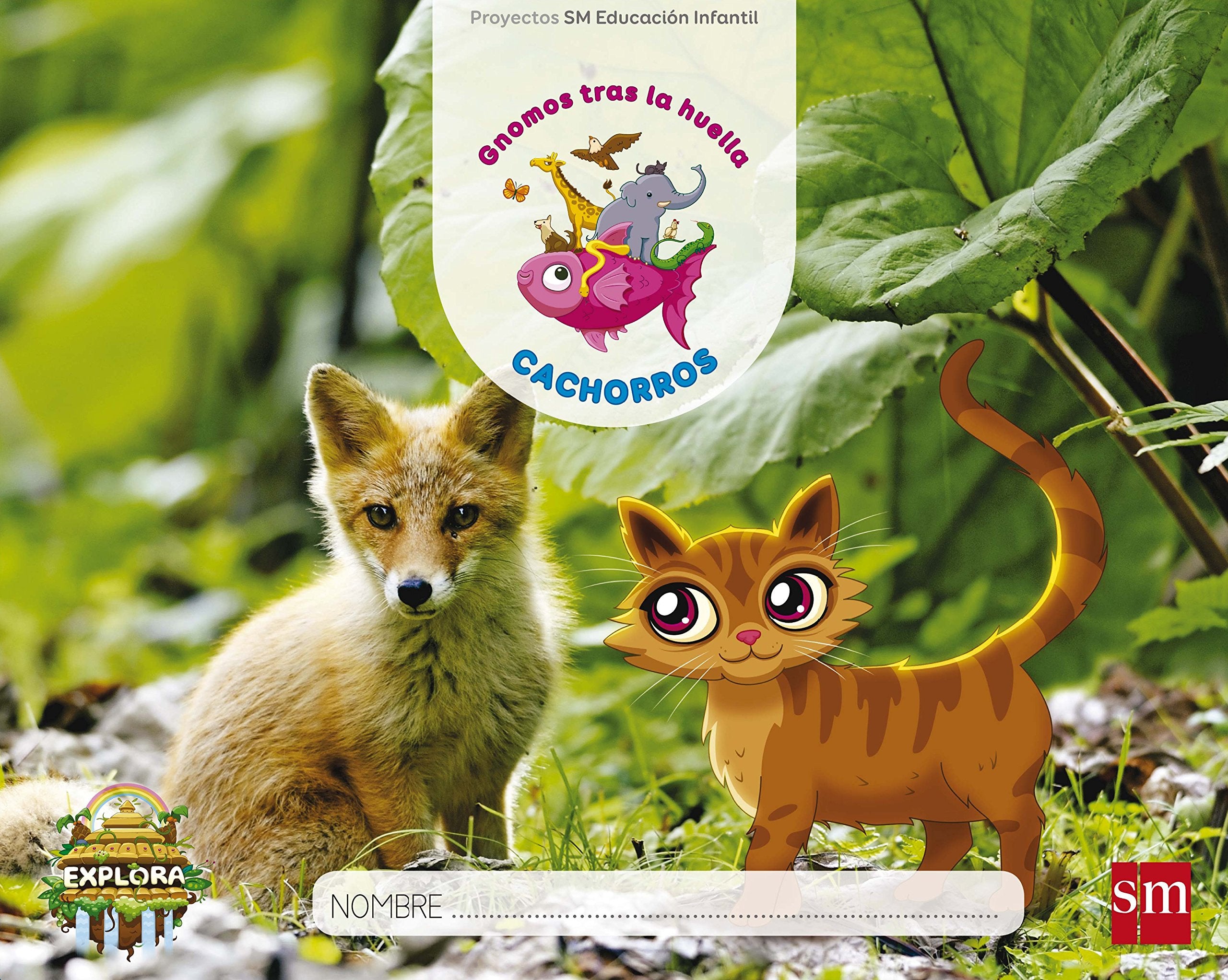 Gnomos tras la huella nivel 1, cachorros, 3 infantil 3 trimestre. Explora Study Guides