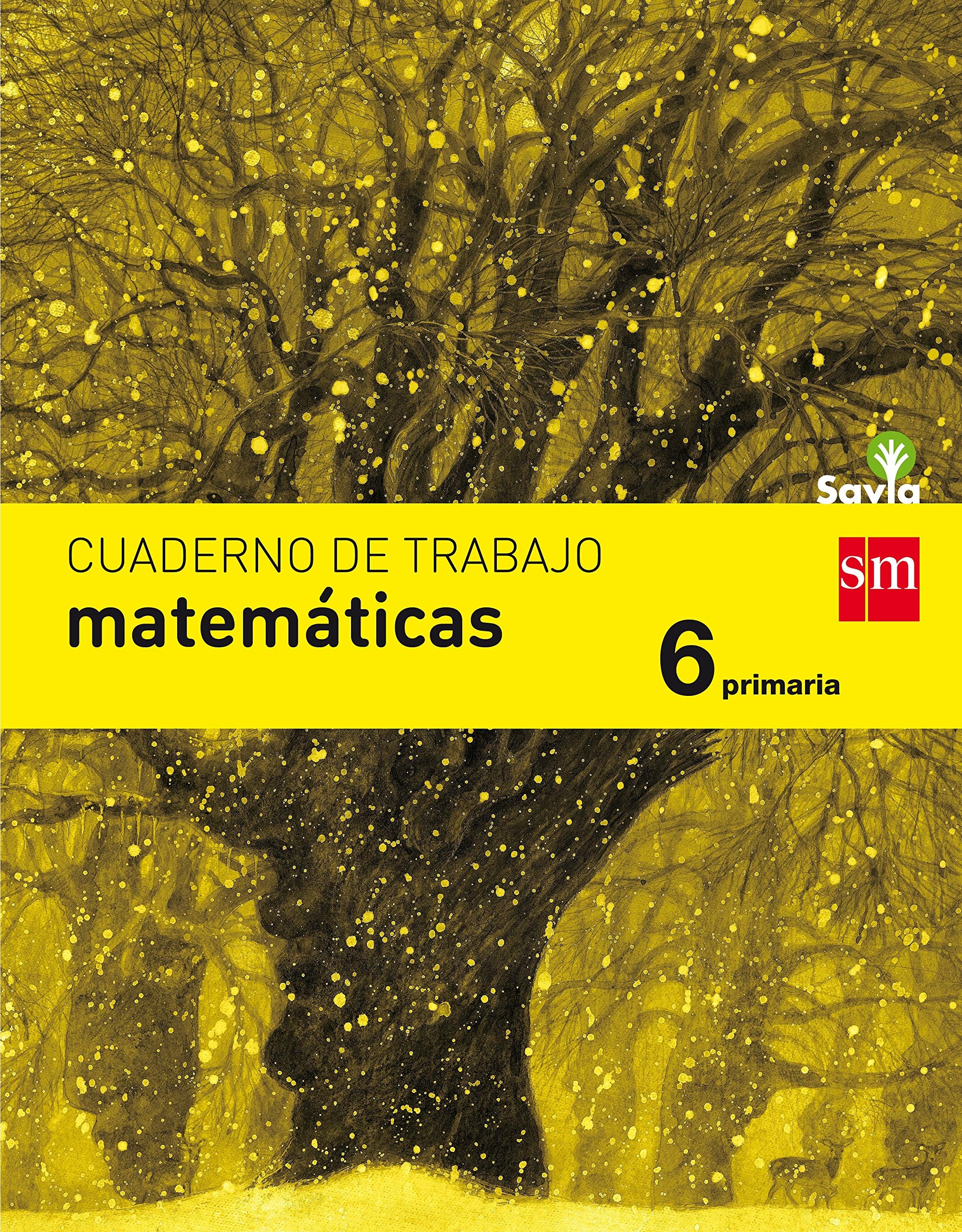 Cuaderno de matemáticas, 6 primaria Non-fiction