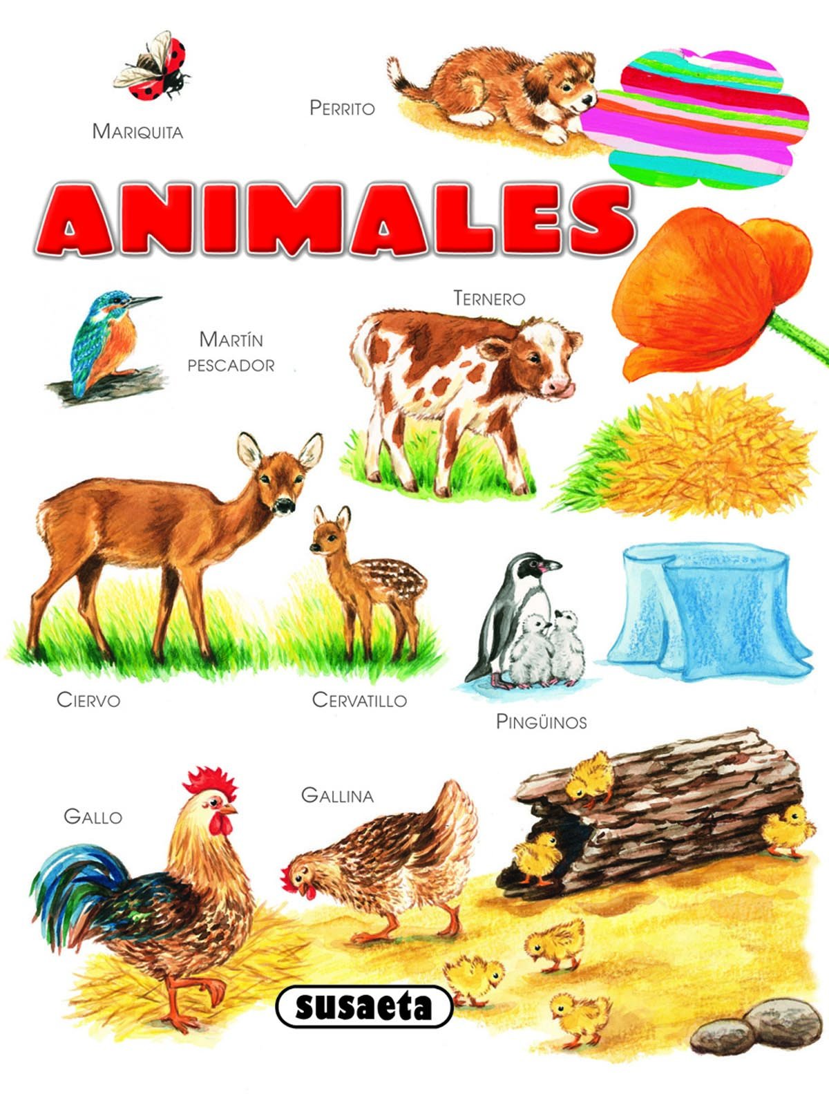Animales (Chiquidiccionarios) Books