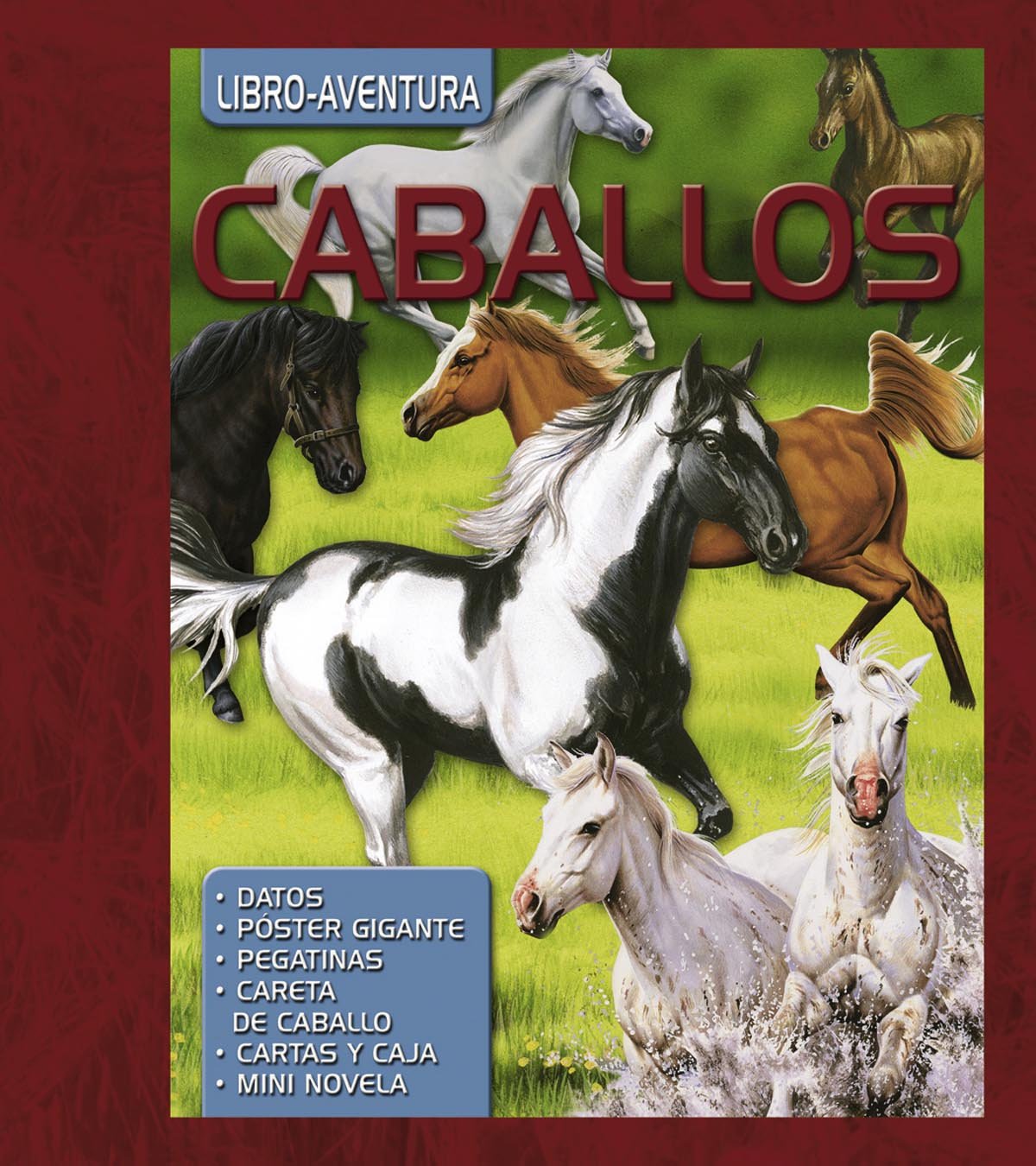 Caballos/ Horses book